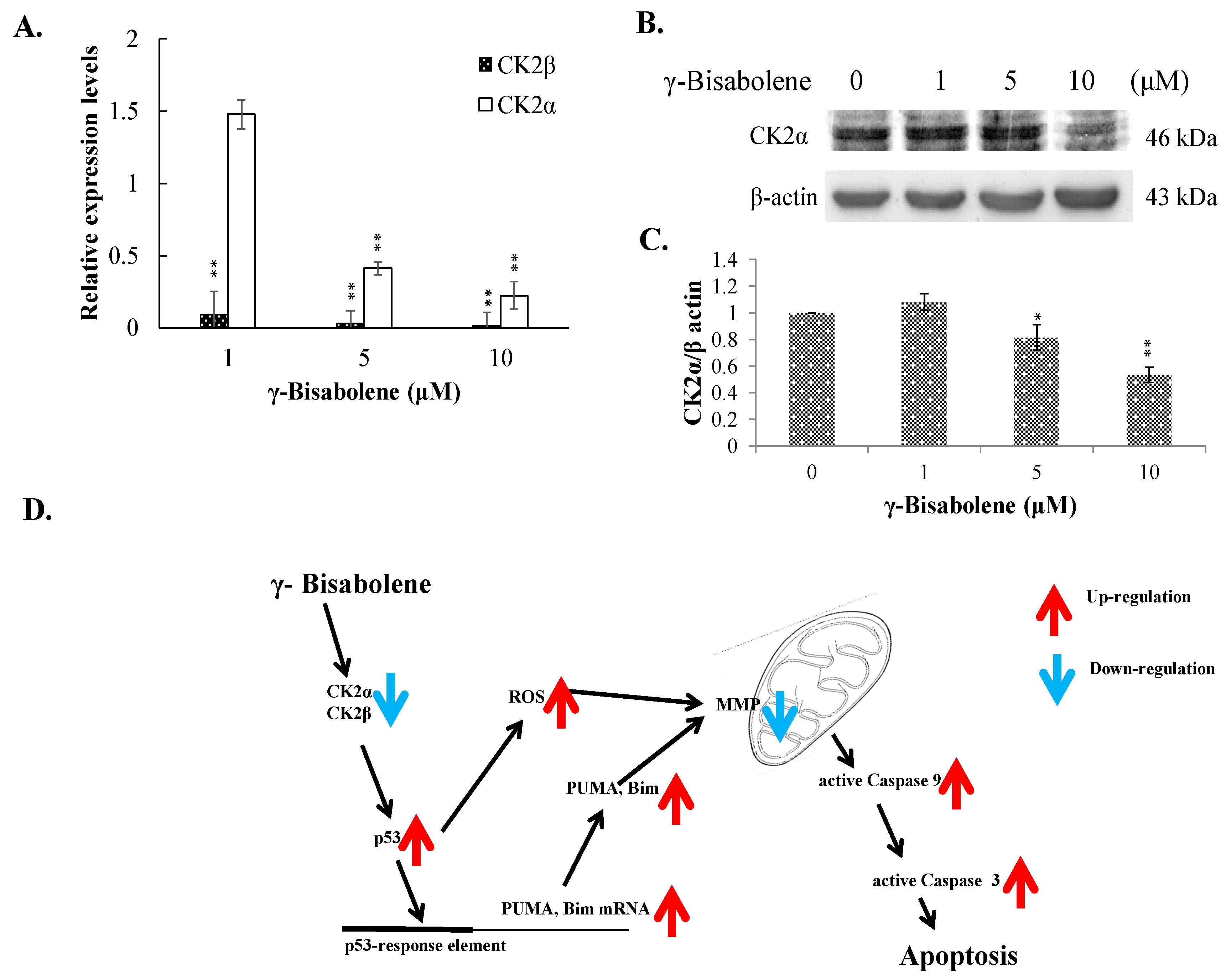 Molecules 21 00601 g007