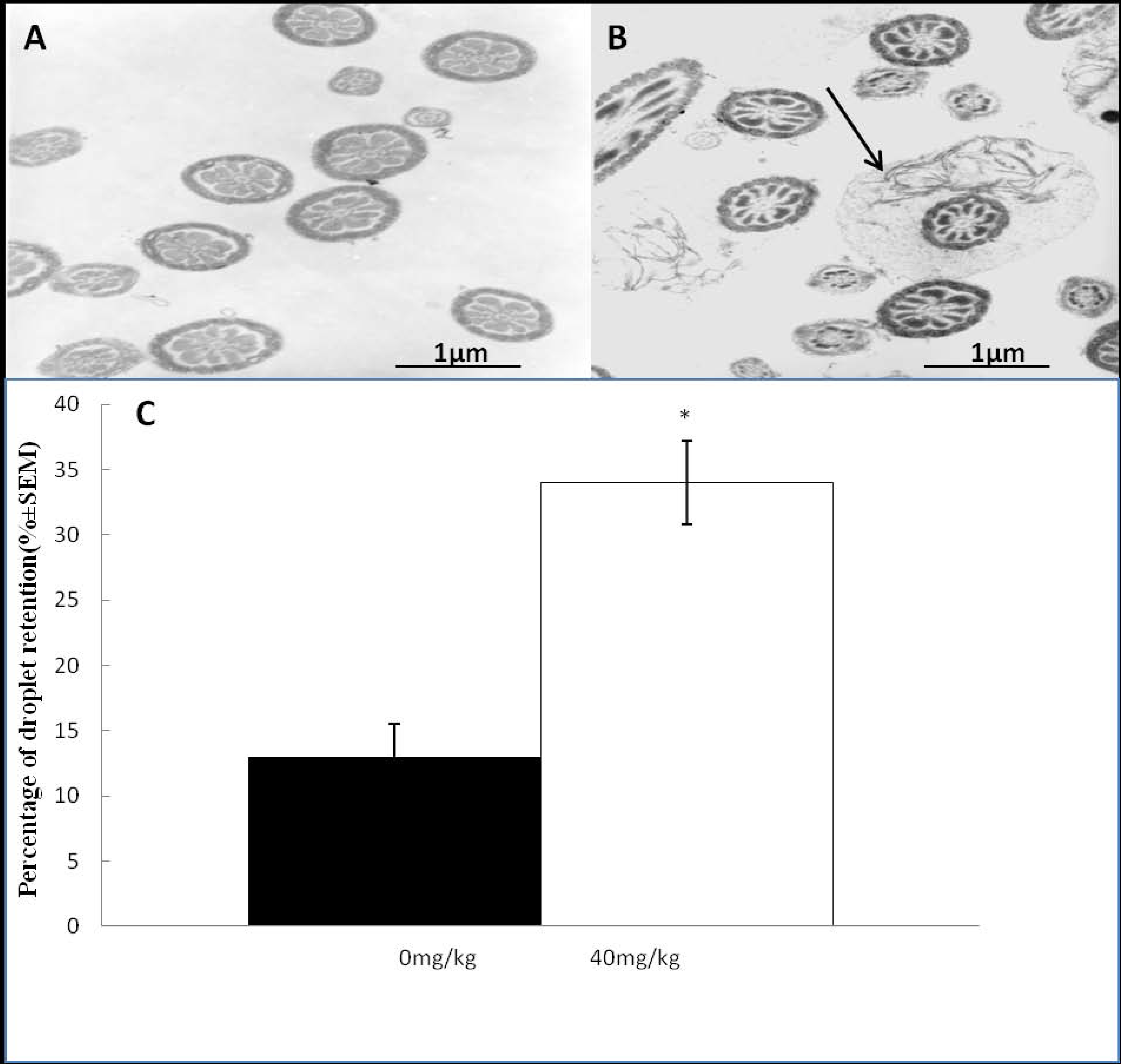 Molecules 21 00602 g003