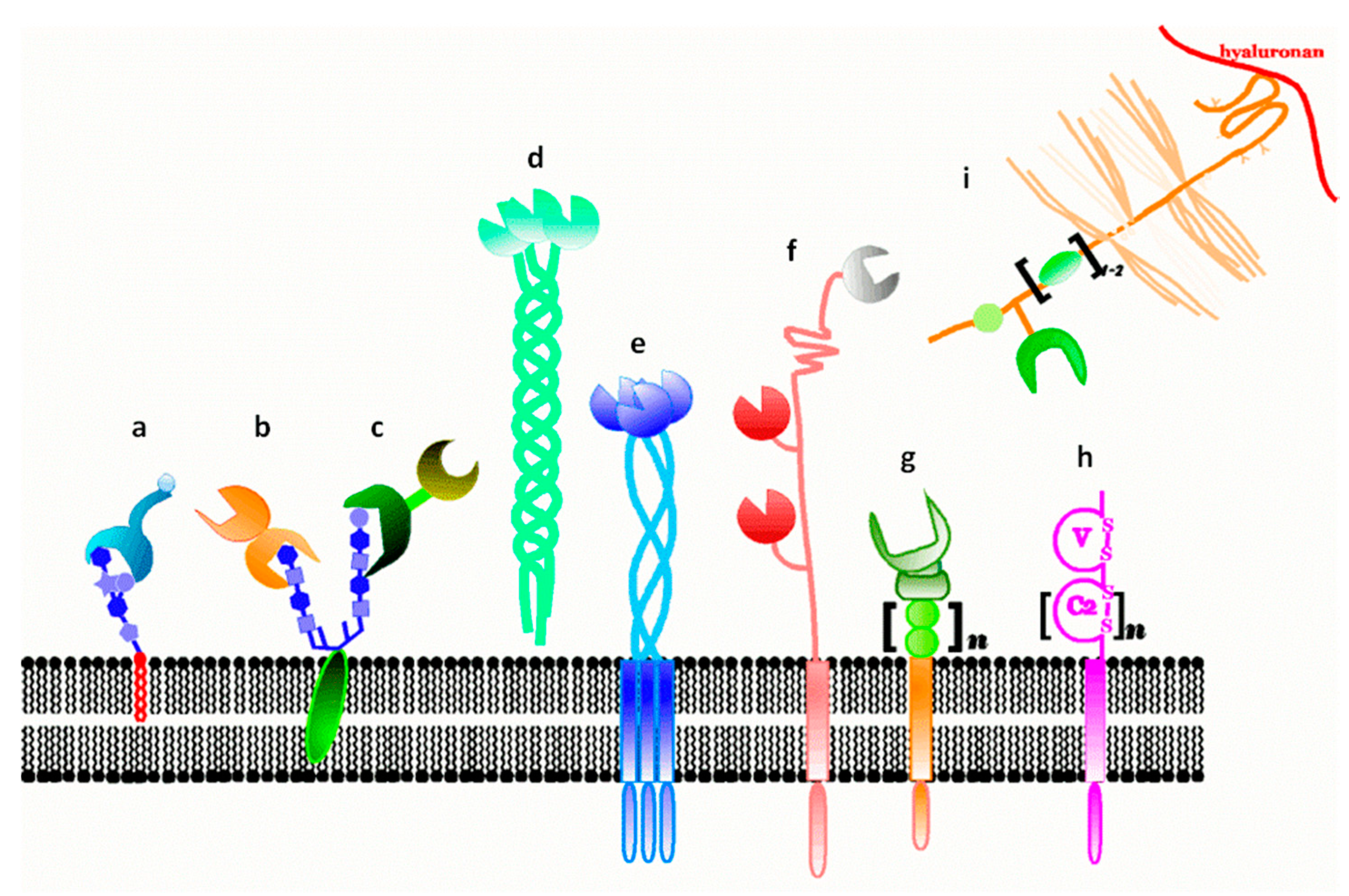 Molecules 21 00629 g002