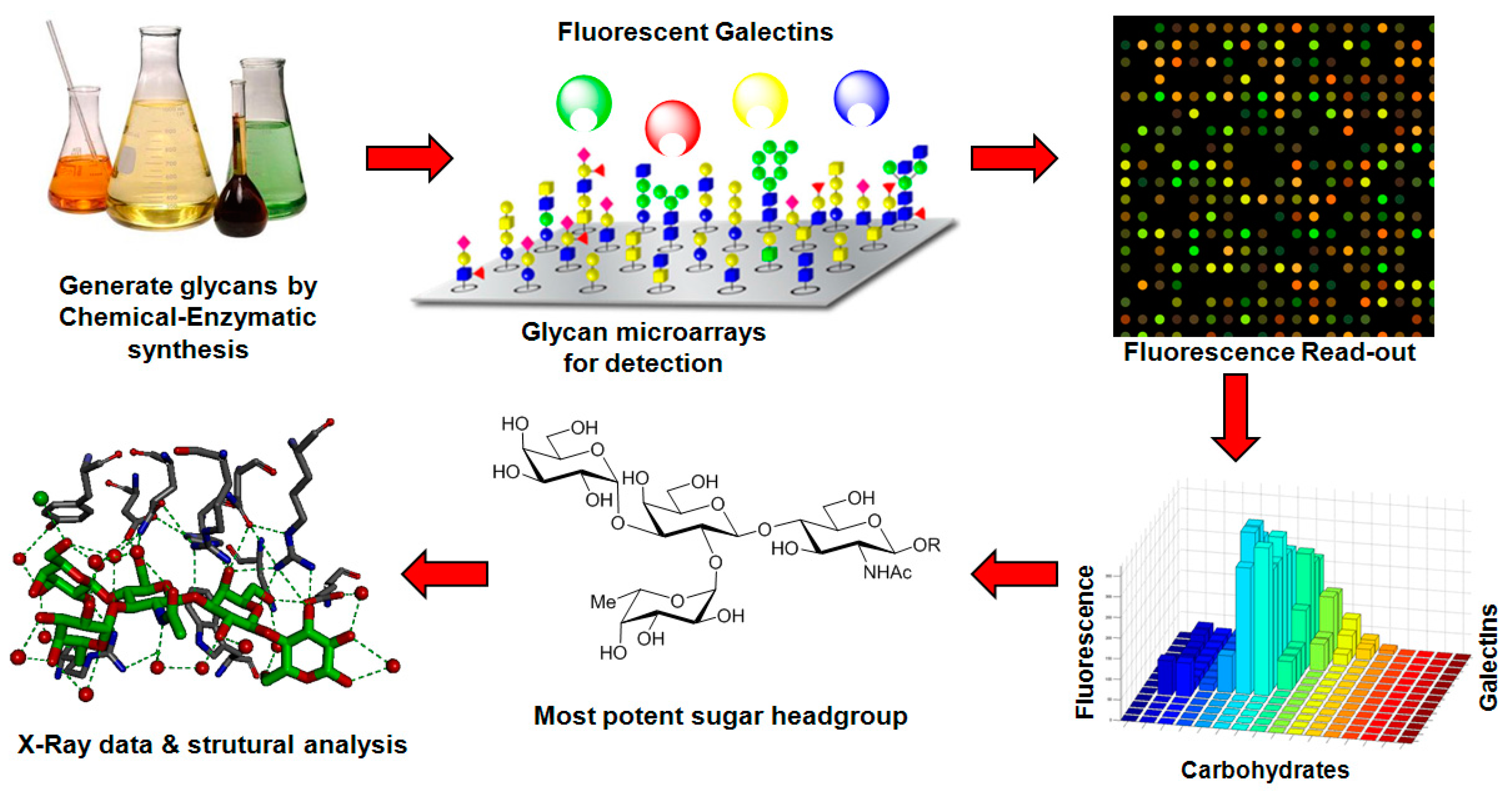 Molecules 21 00629 g005