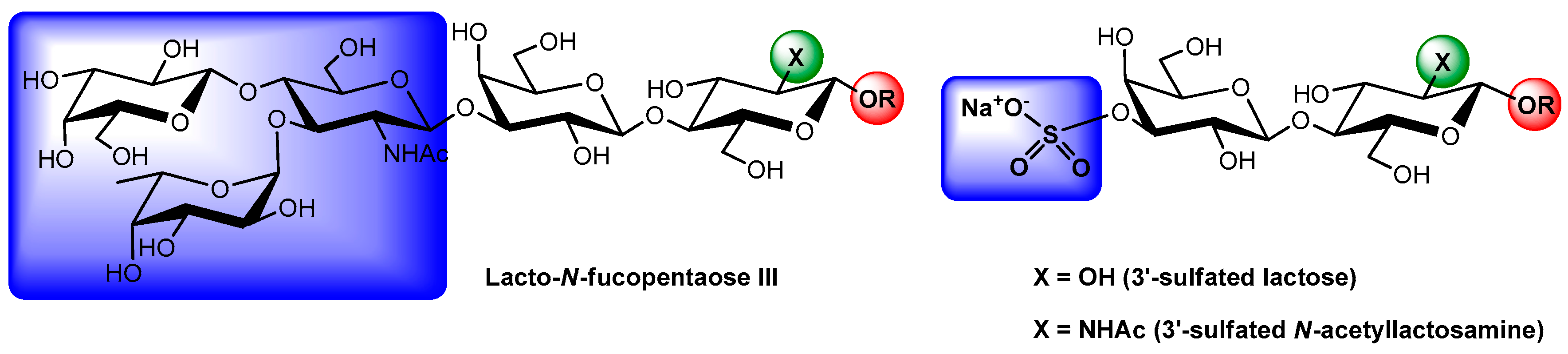 Molecules 21 00629 g007