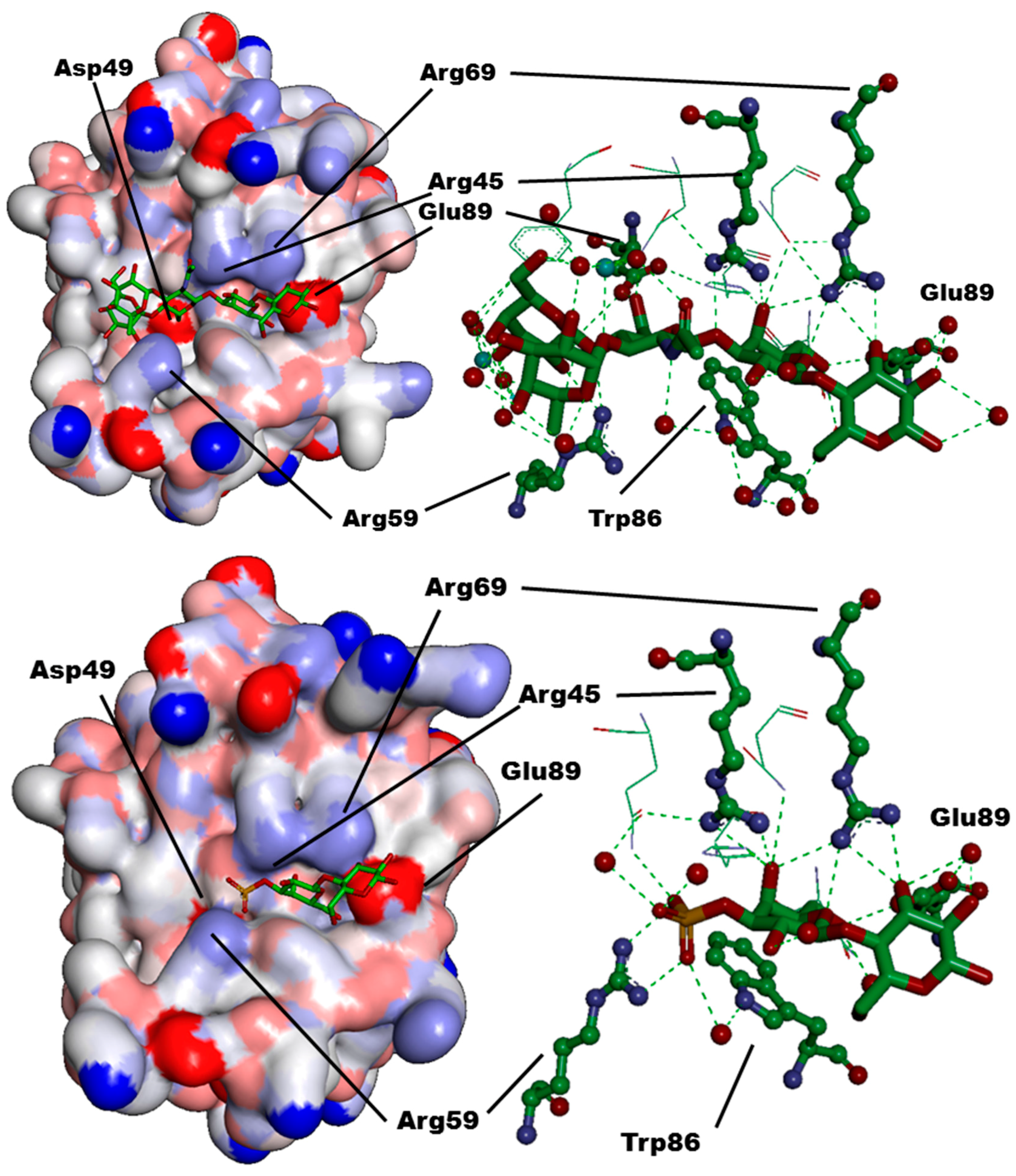 Molecules 21 00629 g008