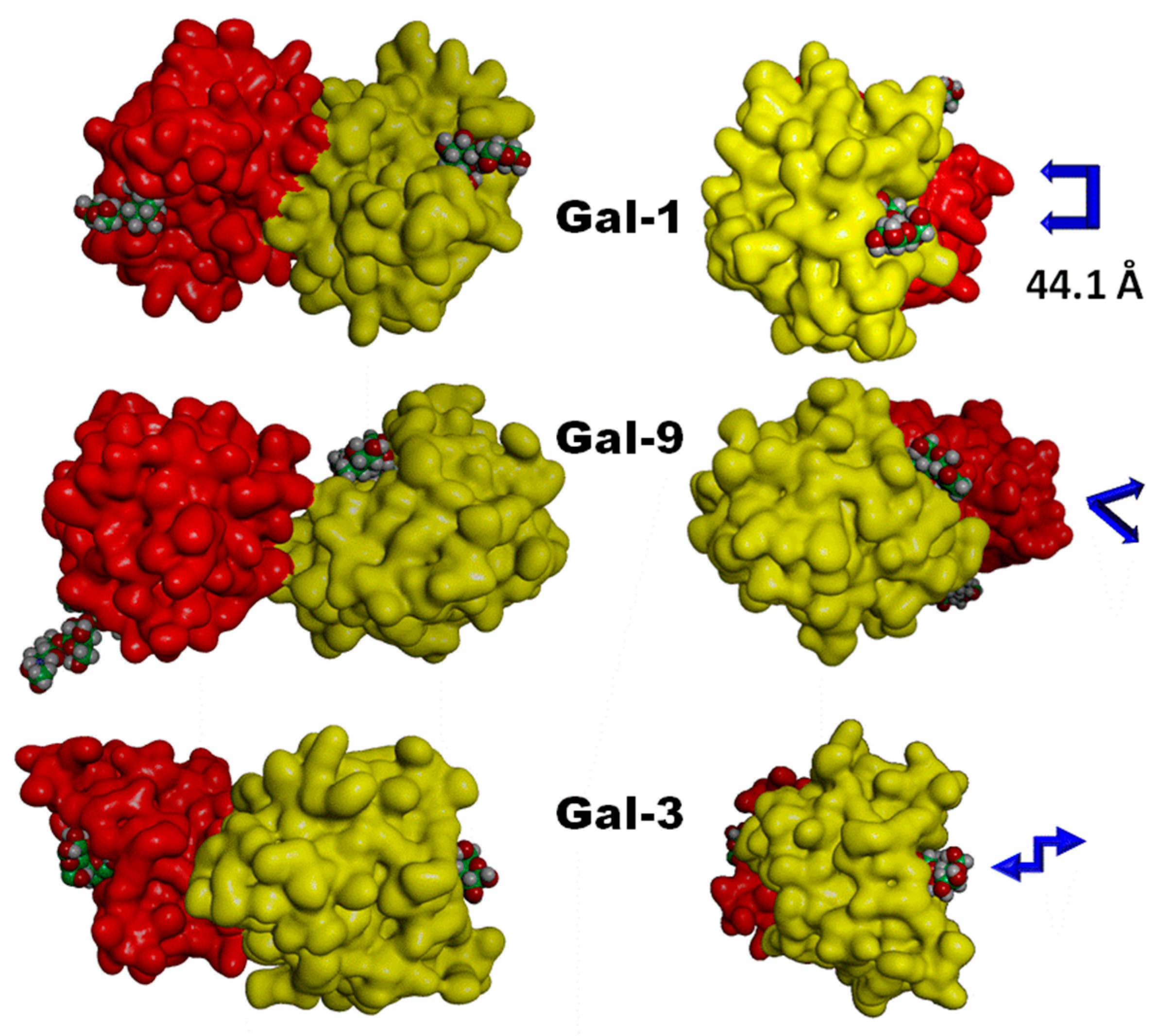 Molecules 21 00629 g009