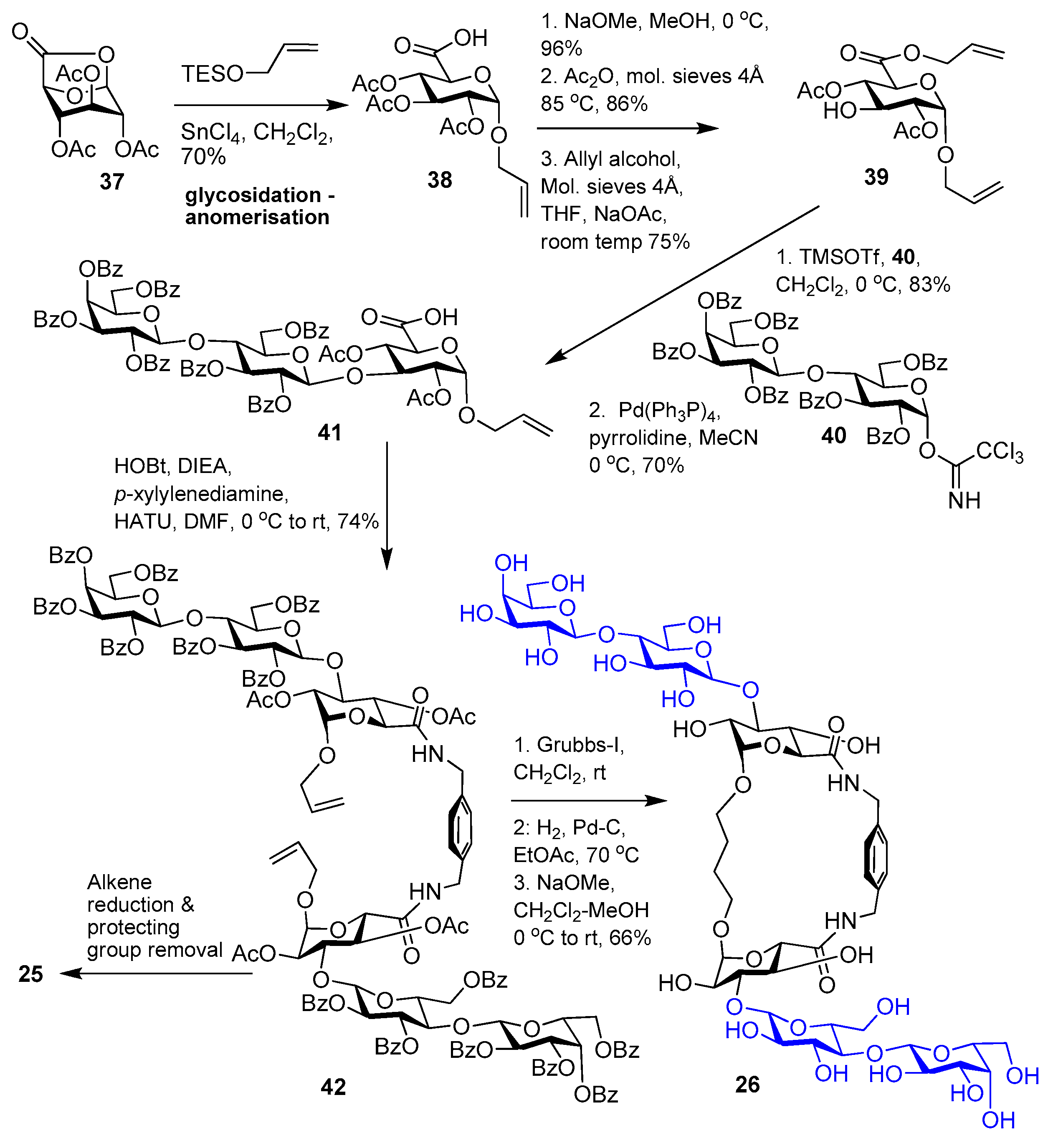 Molecules Free Full Text Multivalent Carbohydrate Lectin Interactions How Synthetic Chemistry Enables Insights Into Nanometric Recognition Molecules Free Full Text Multivalent Carbohydrate Lectin Interactions How Synthetic Chemistry Enables Insights Into Nanometric Recognition