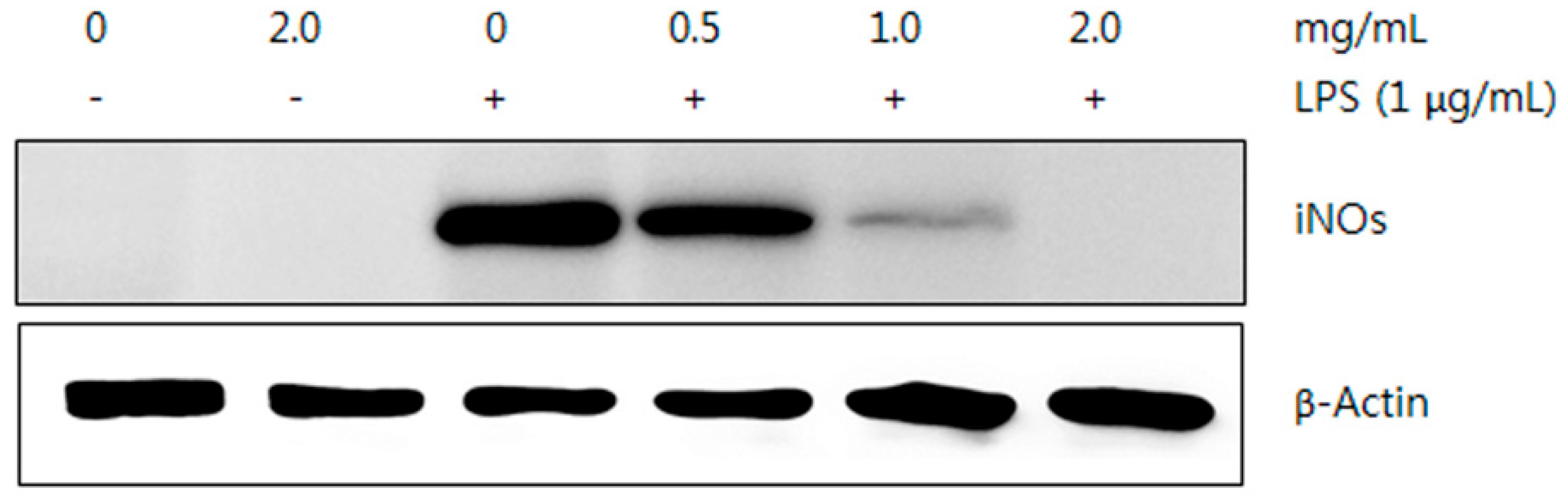Molecules 21 00639 g011