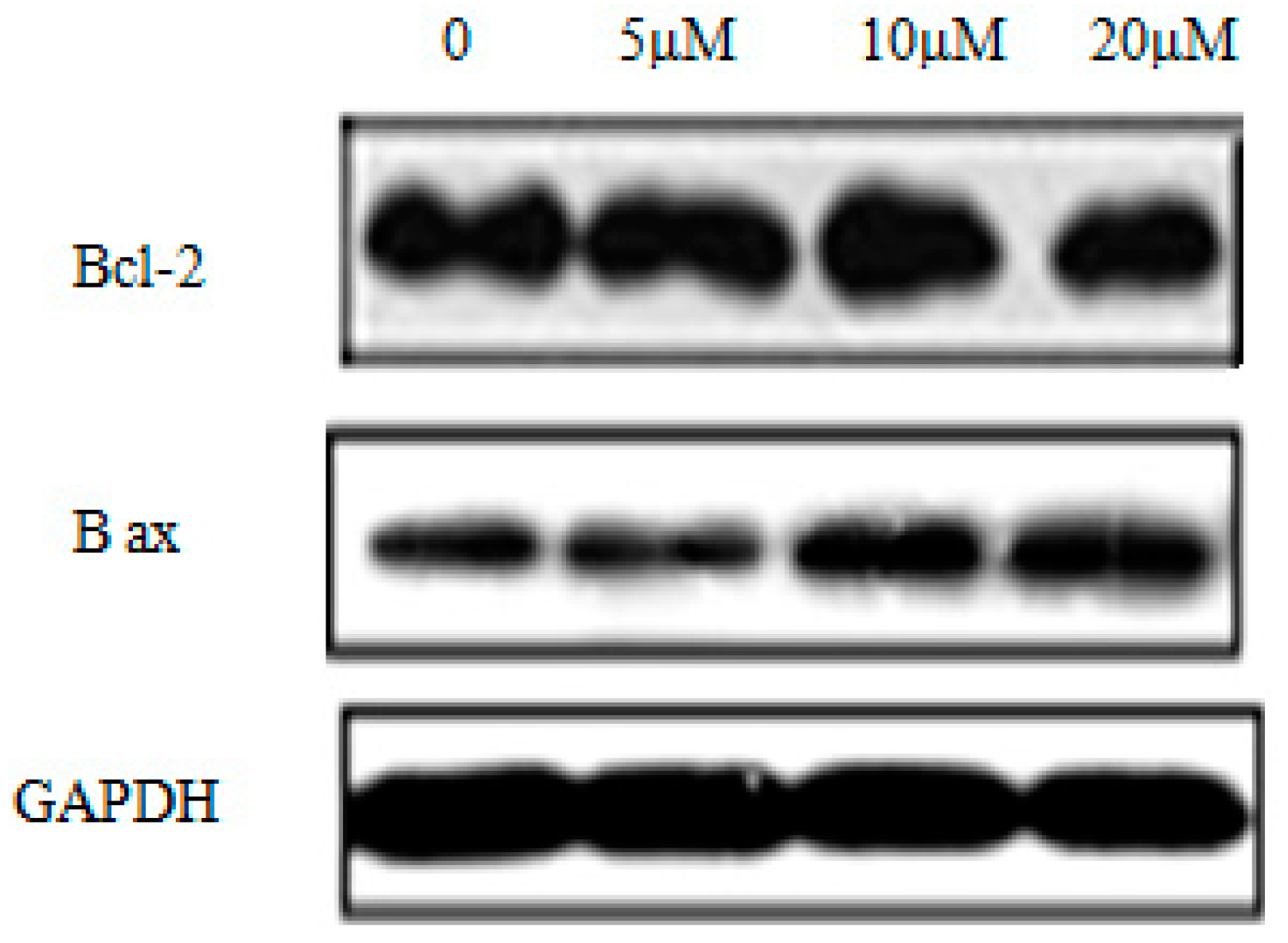 Molecules 21 00653 g006