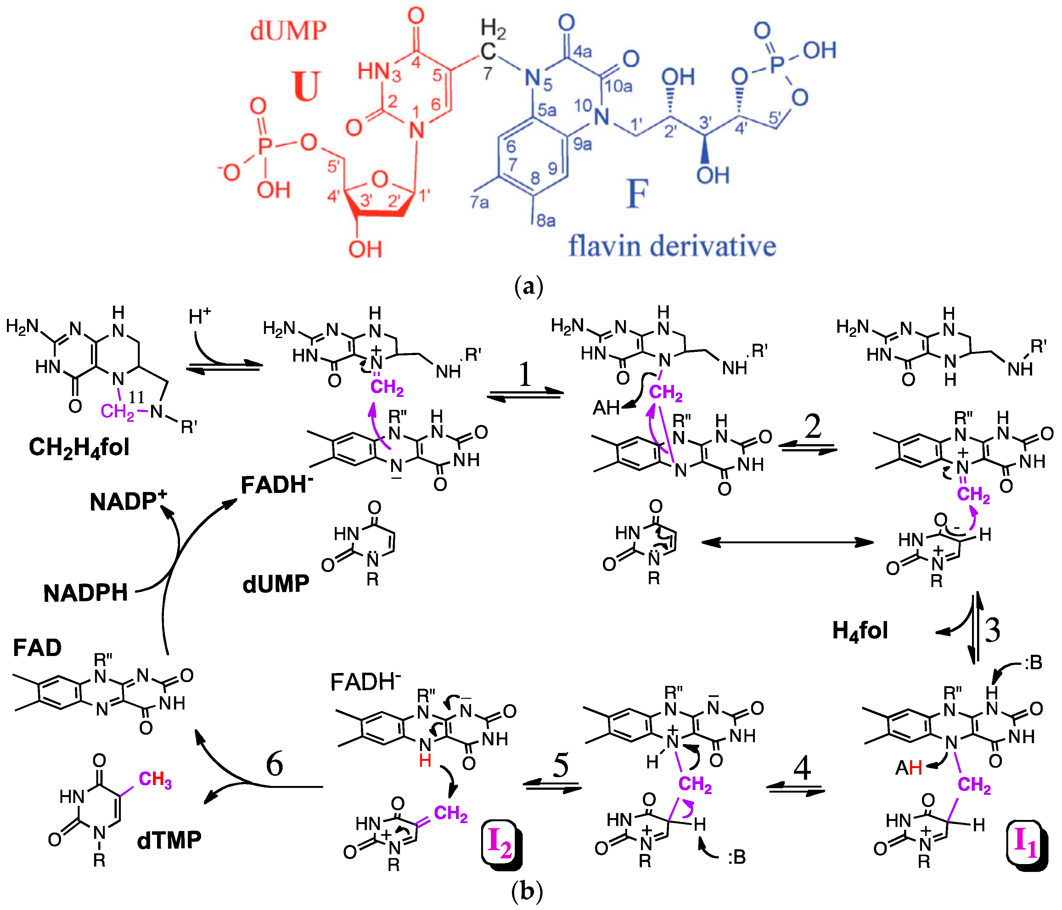 Molecules 21 00654 sch003 550