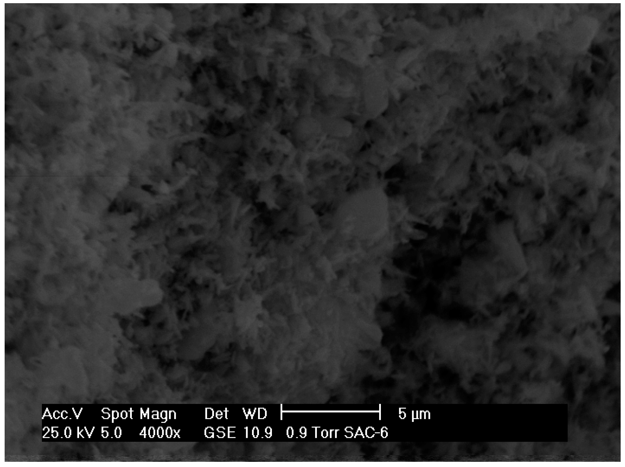 Molecules 21 00668 g003