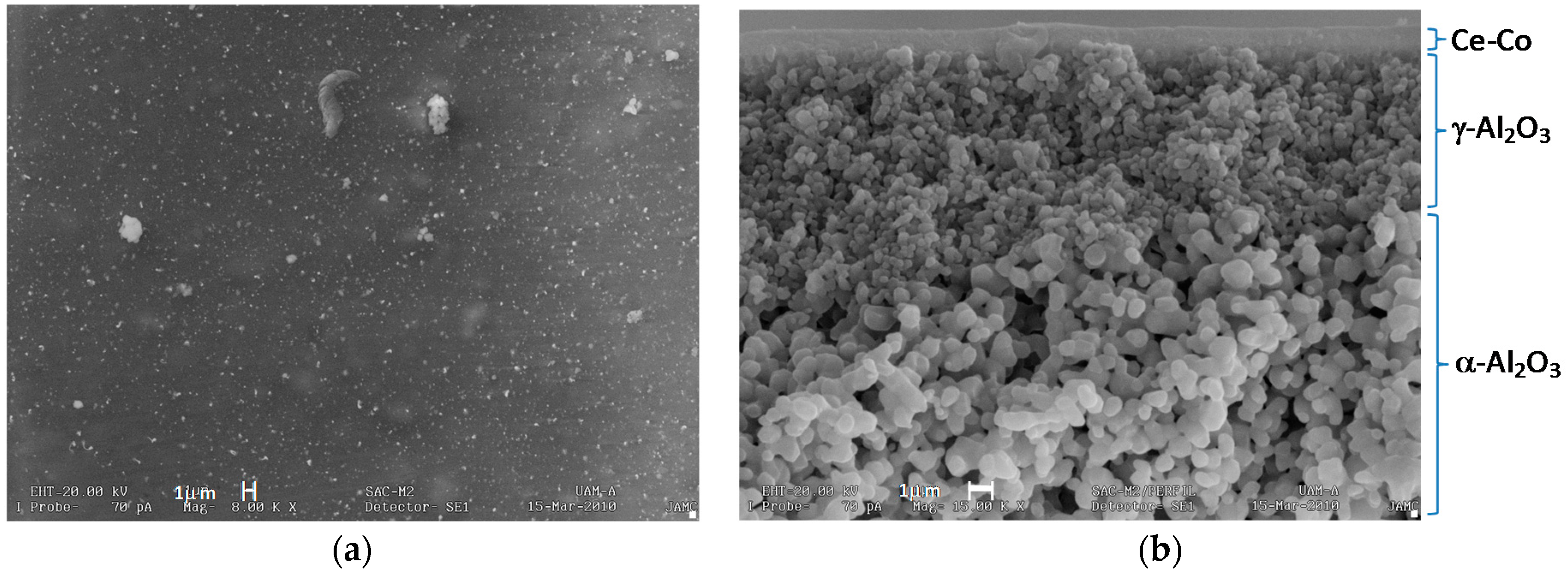 Molecules 21 00668 g007