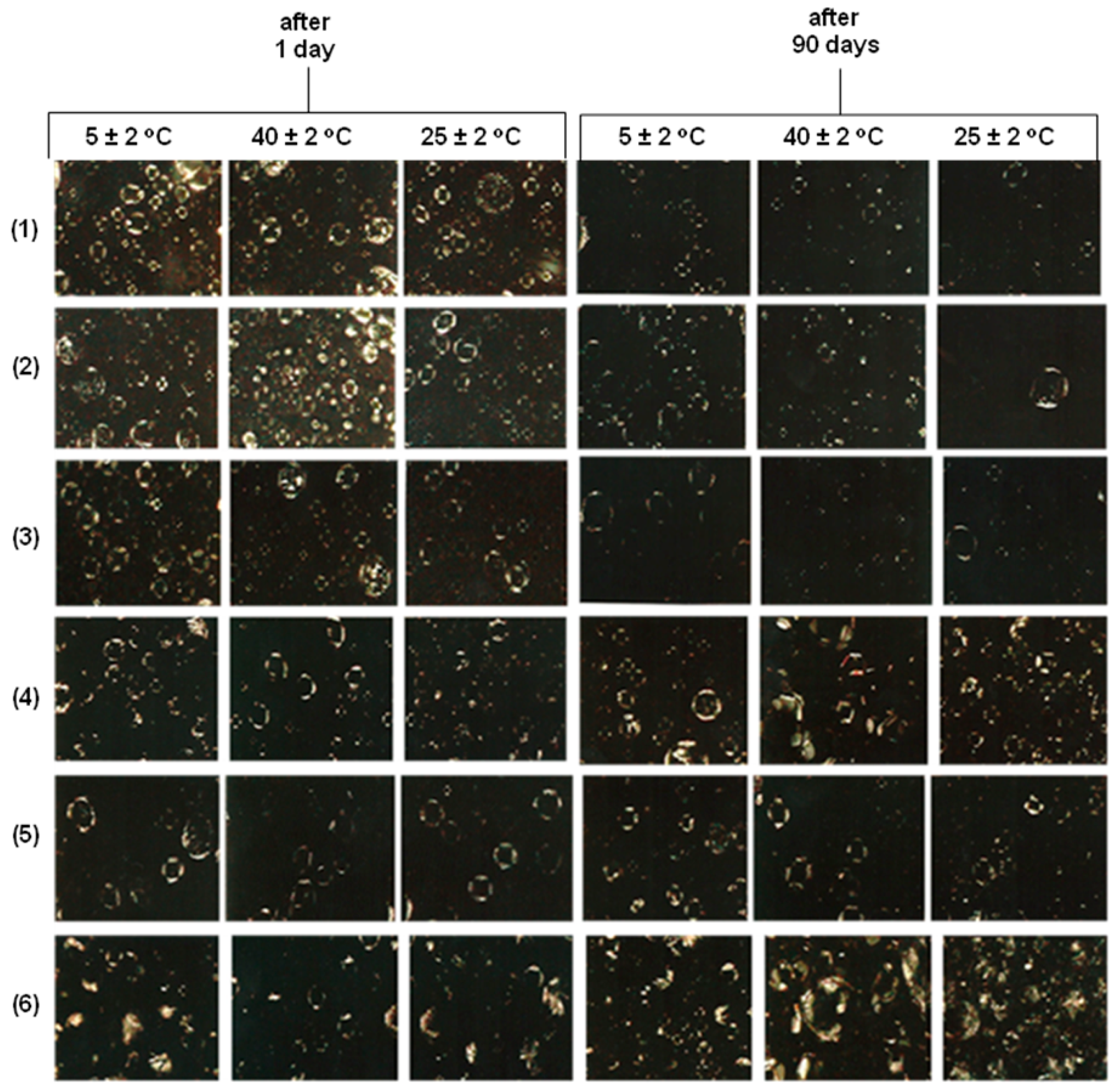 Molecules 21 00680 g006