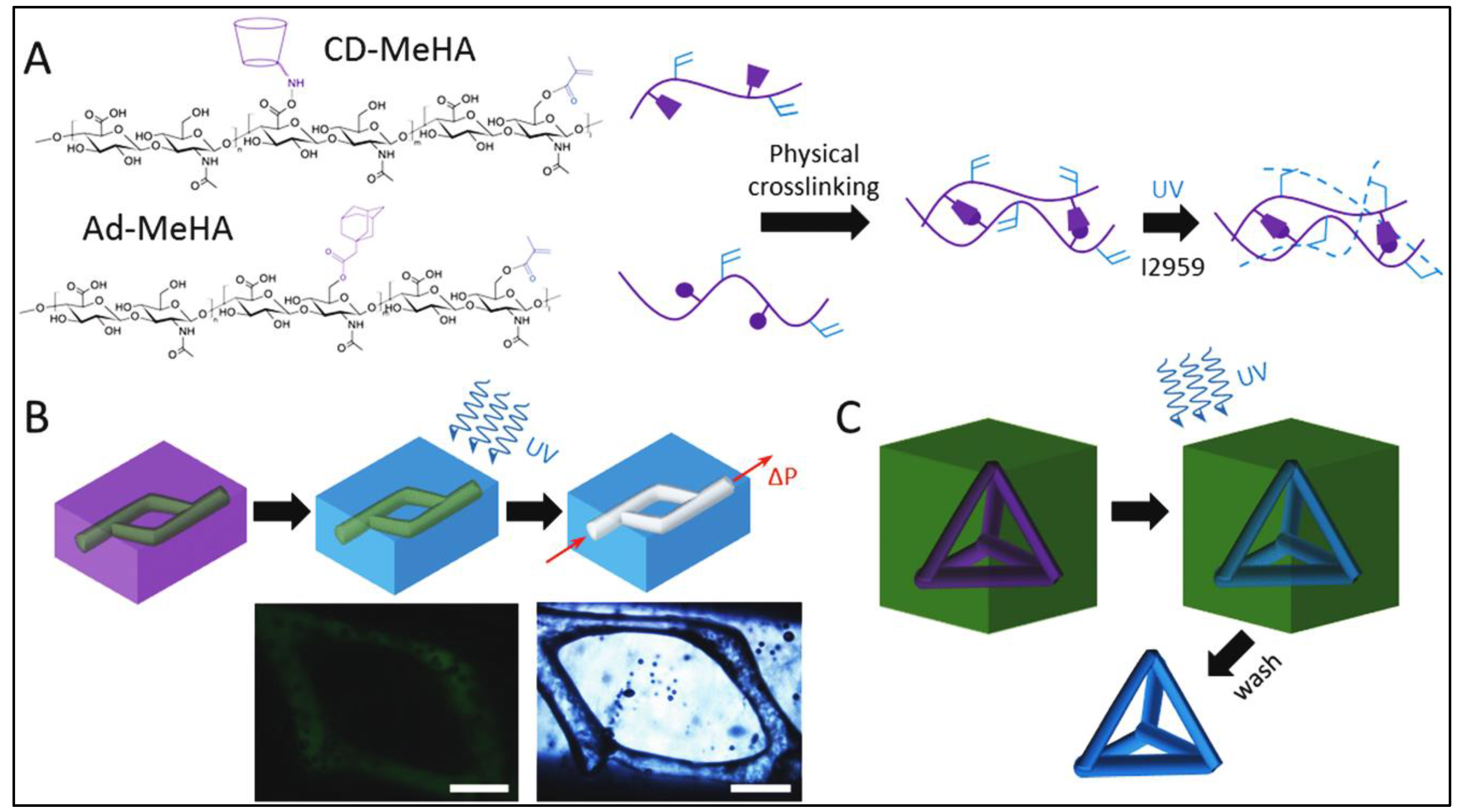 Molecules 21 00685 g008