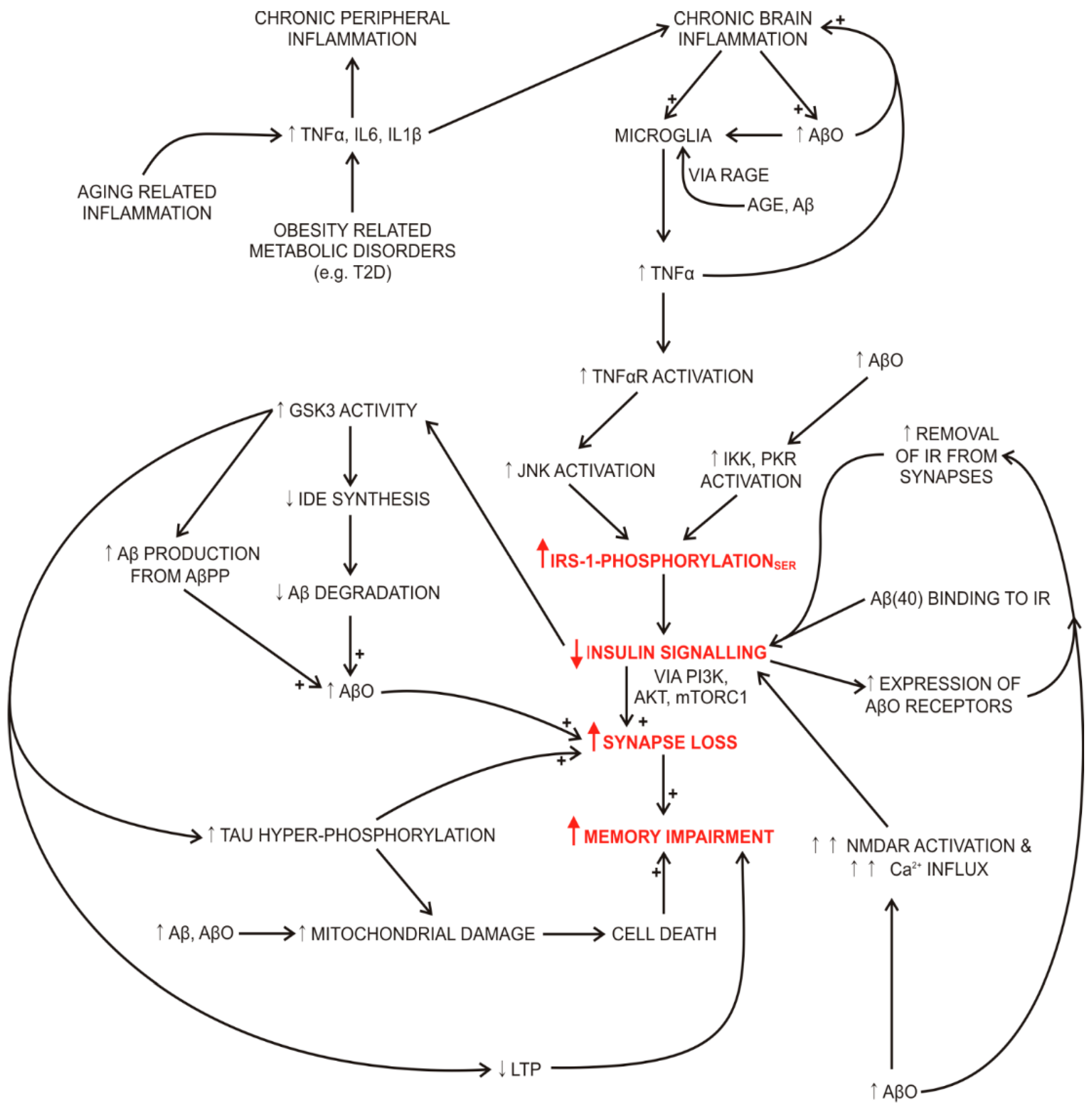 Molecules Free Full Text The Rationale For Insulin Therapy In