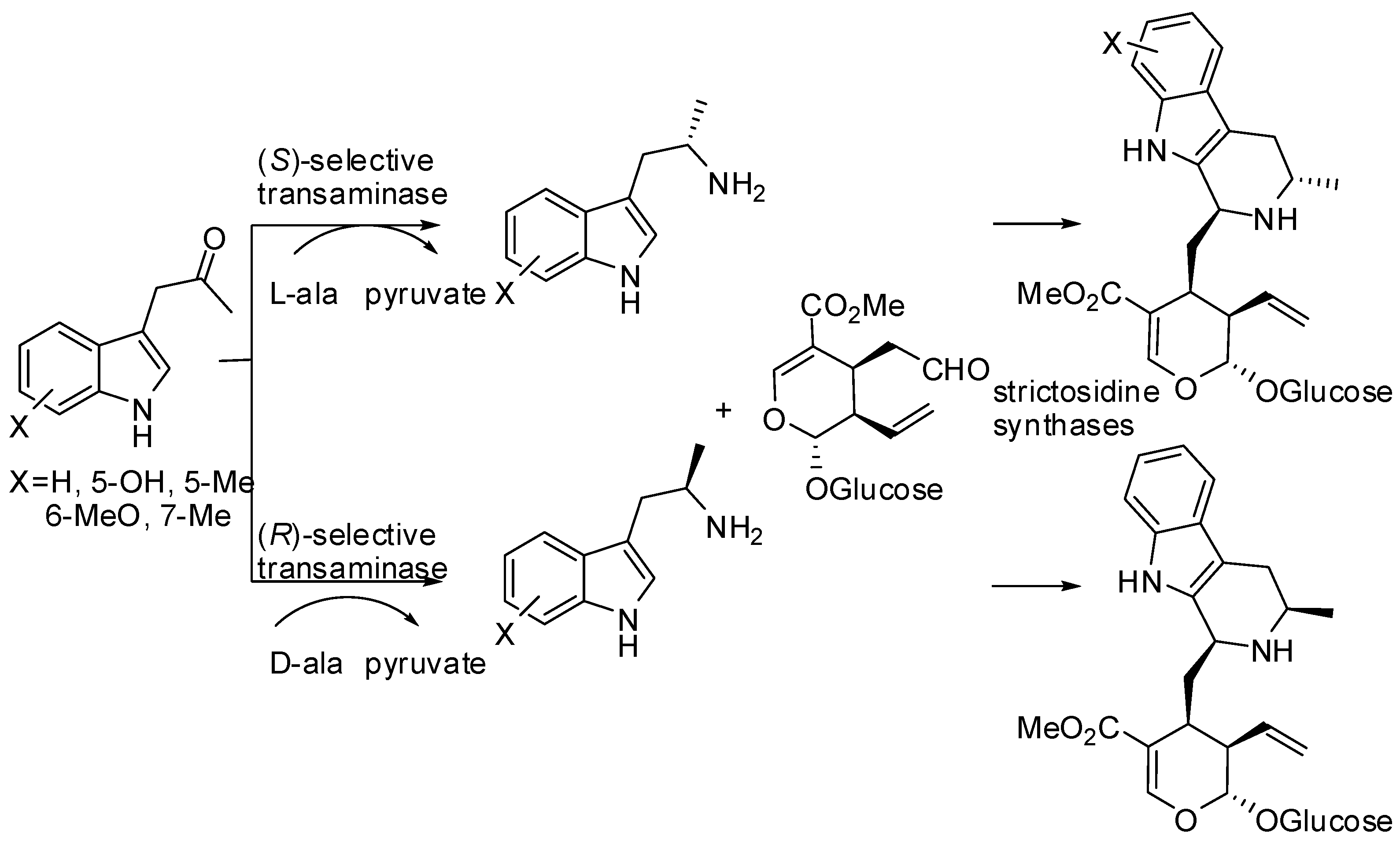 Molecules 21 00699 sch026 550