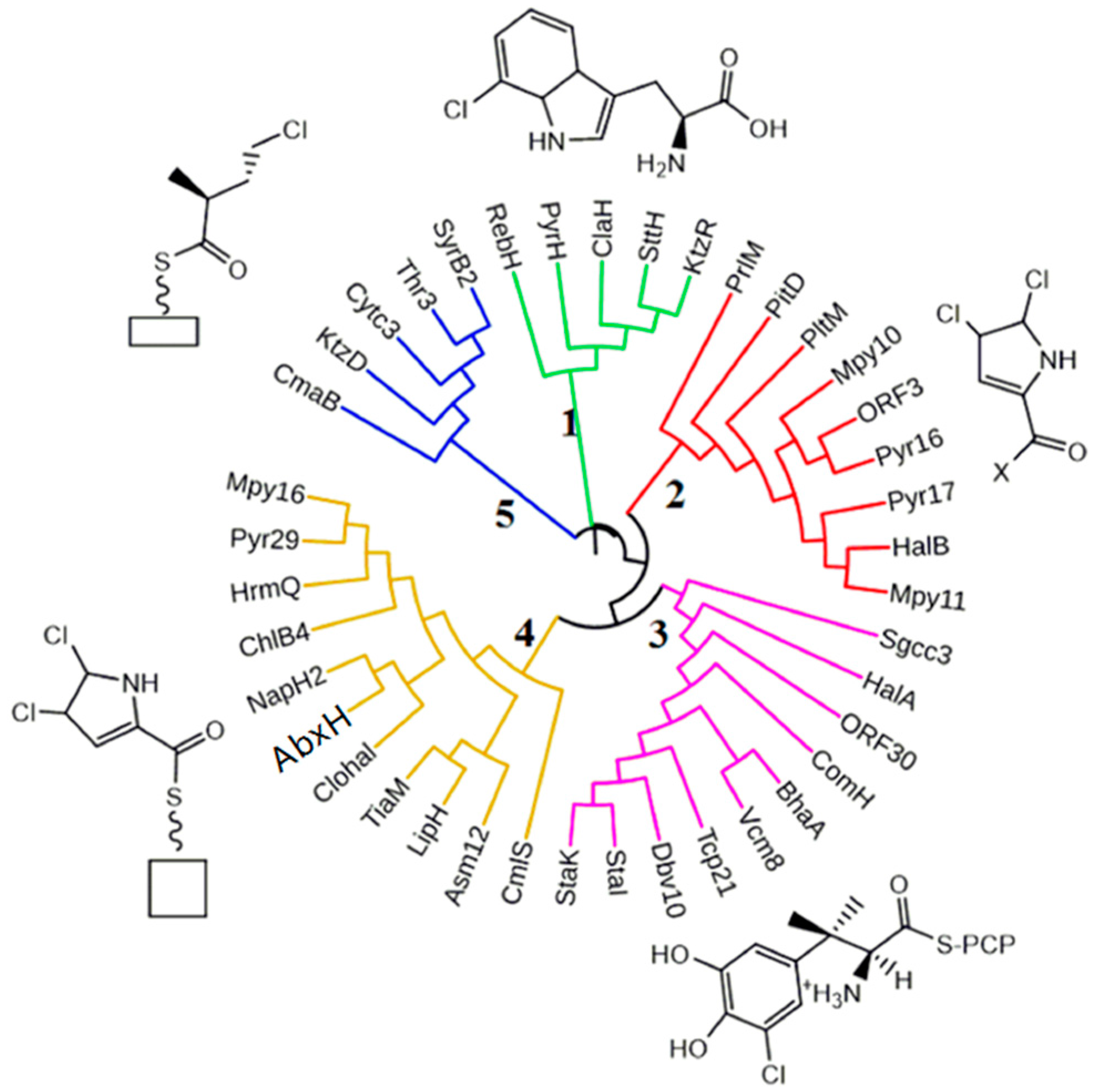 Molecules 21 00711 g006