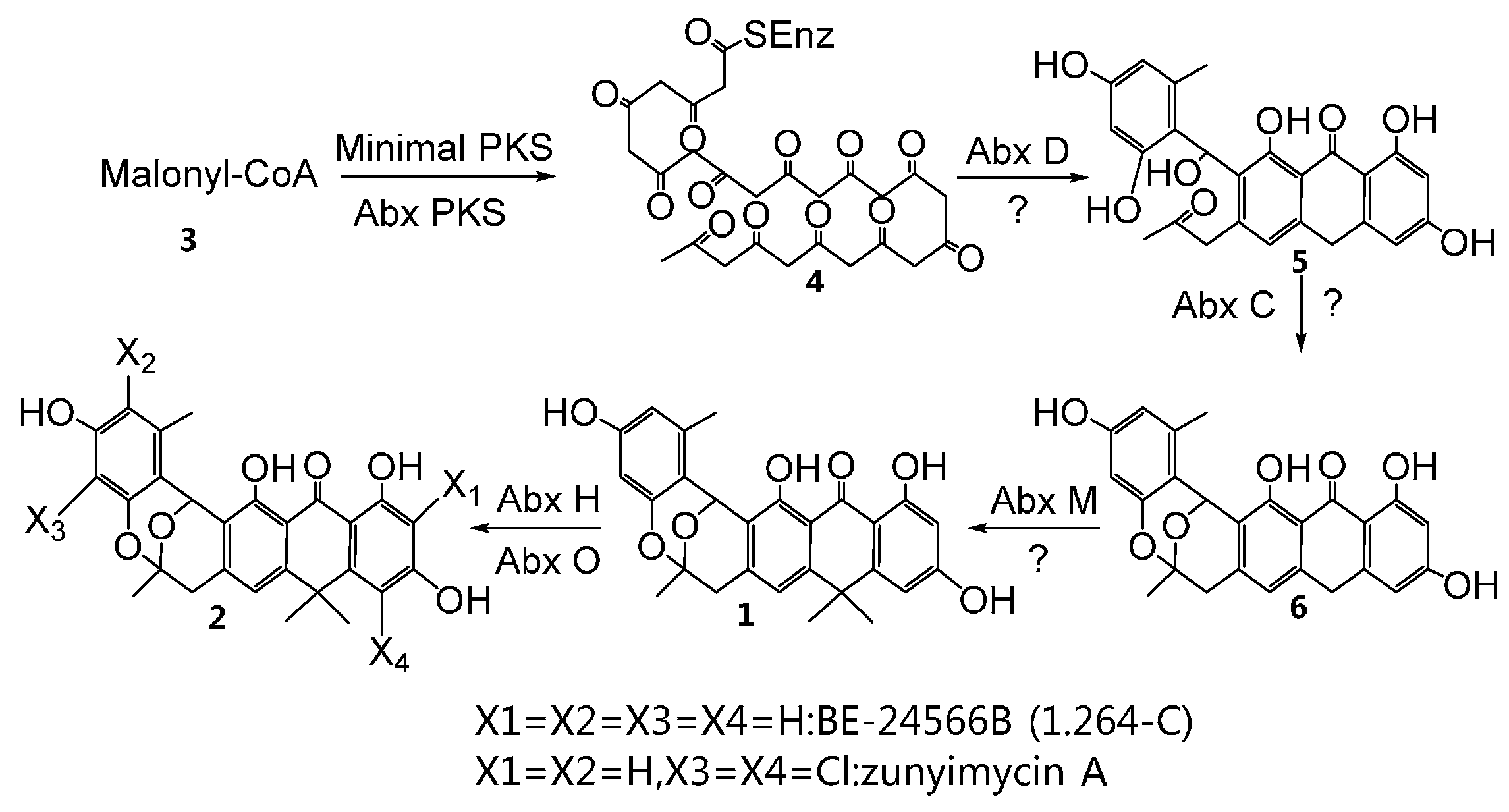 Molecules 21 00711 sch001
