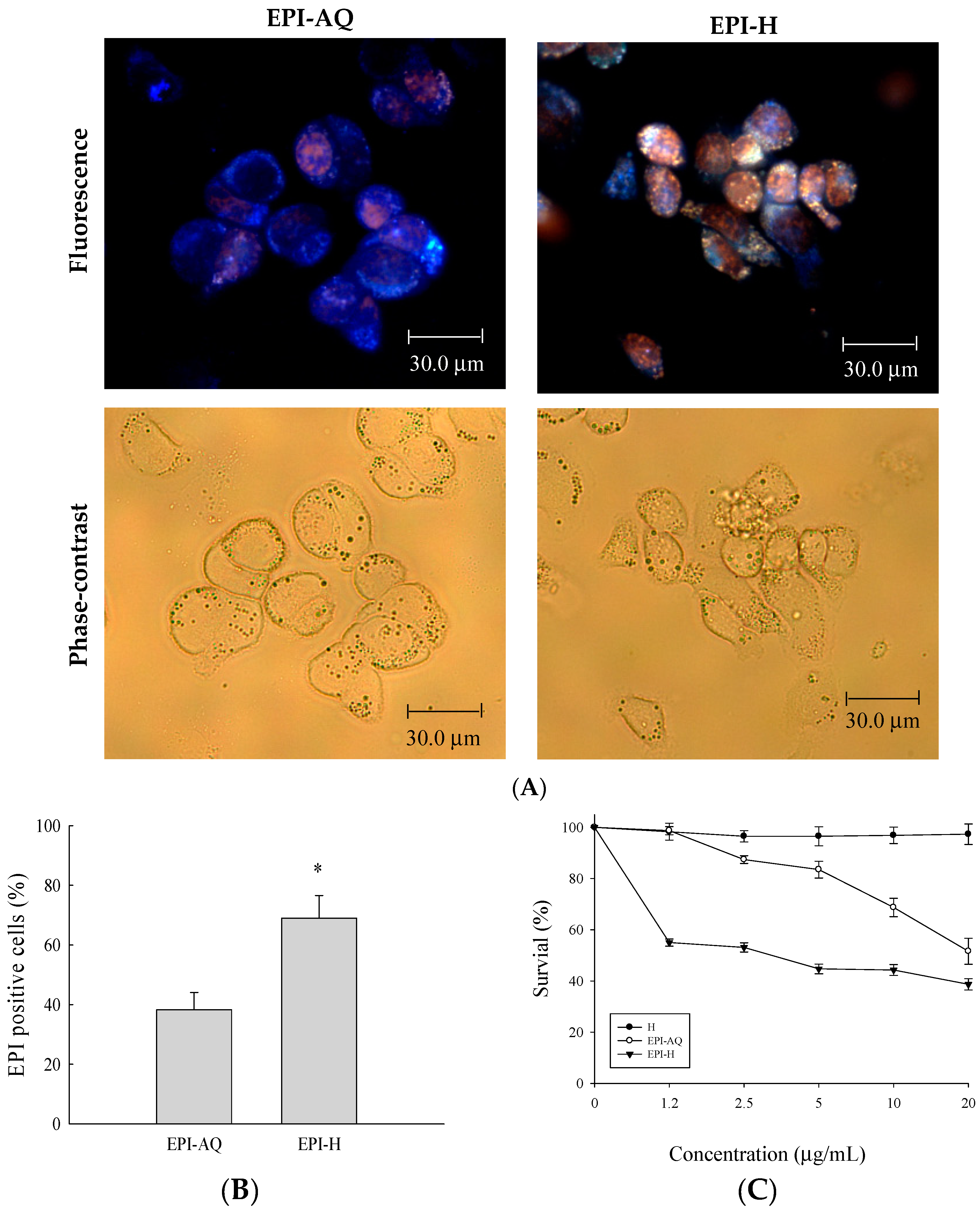 Molecules 21 00712 g002 550