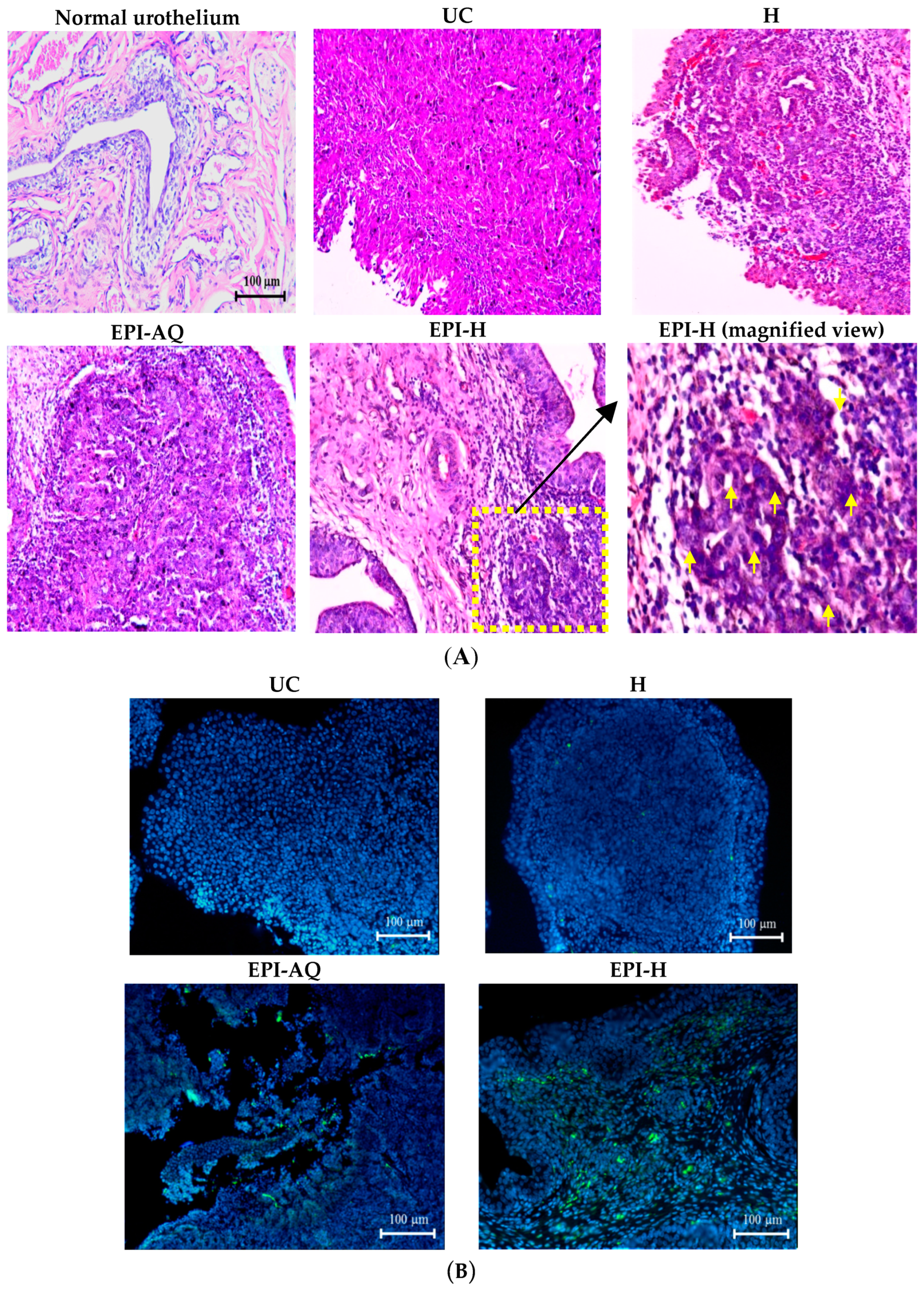 Molecules 21 00712 g007a 550