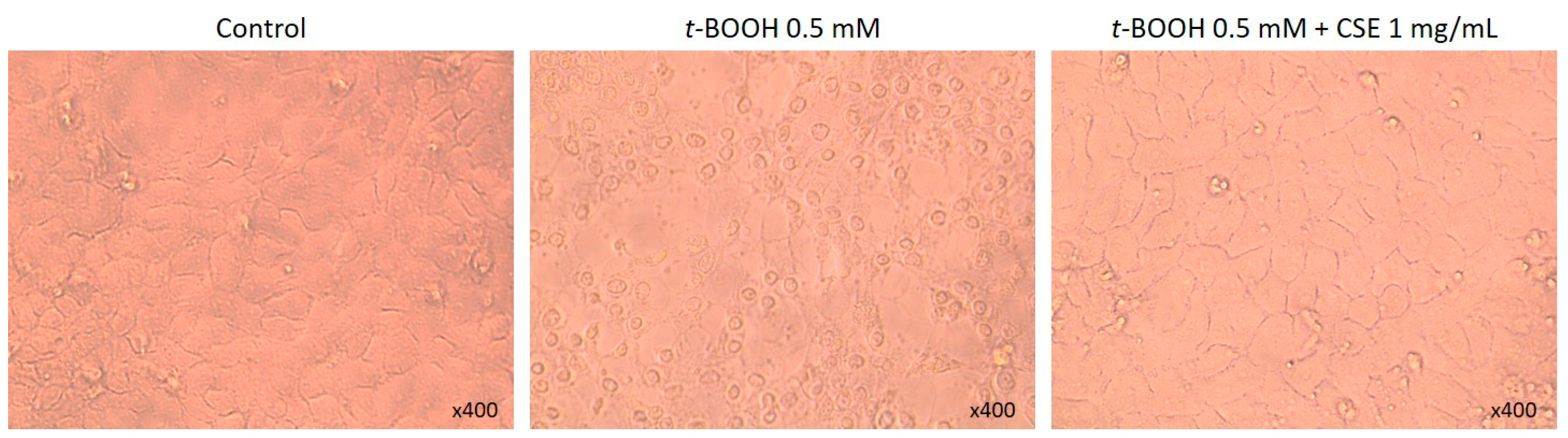 Molecules 21 00721 g004