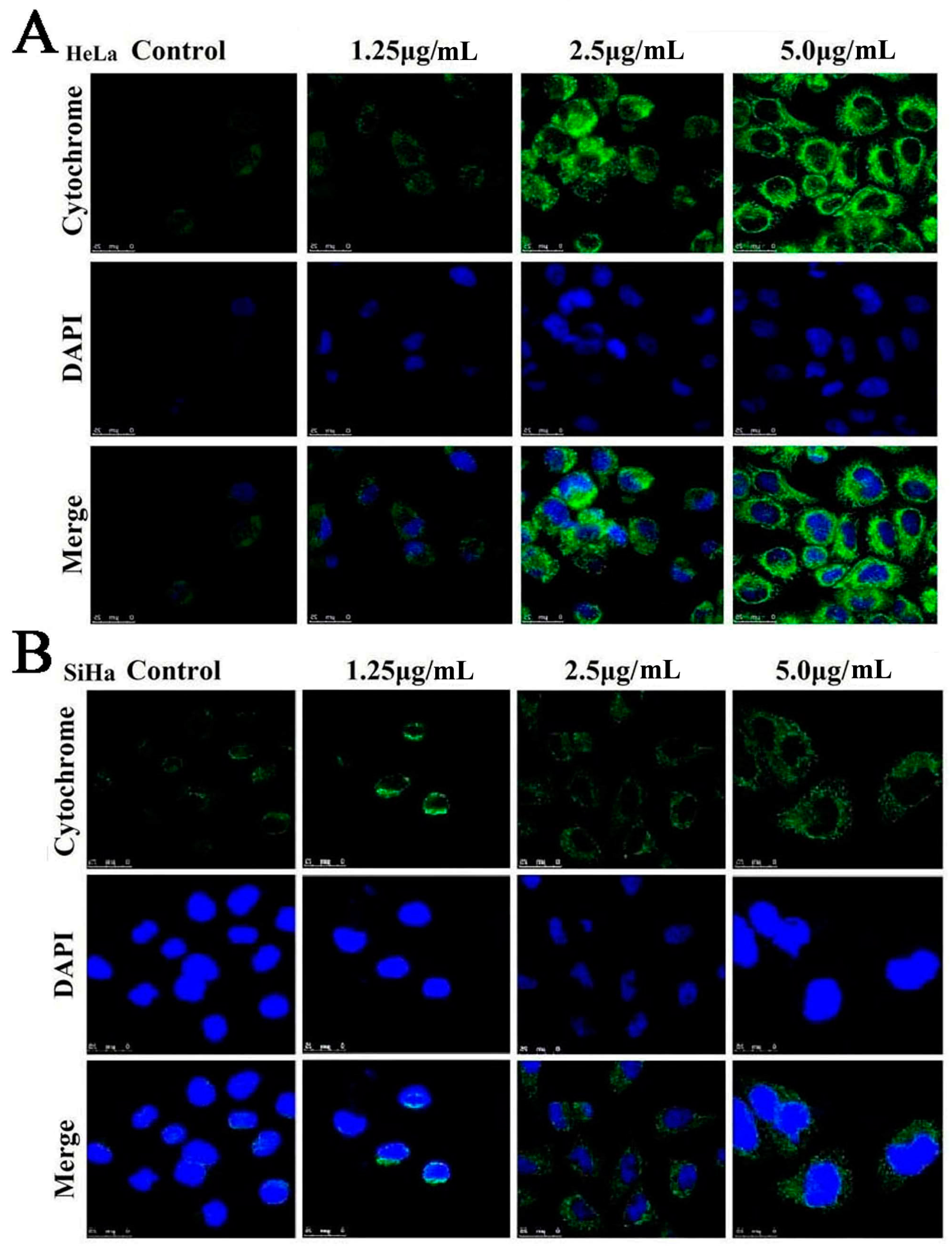 Molecules 21 00730 g007
