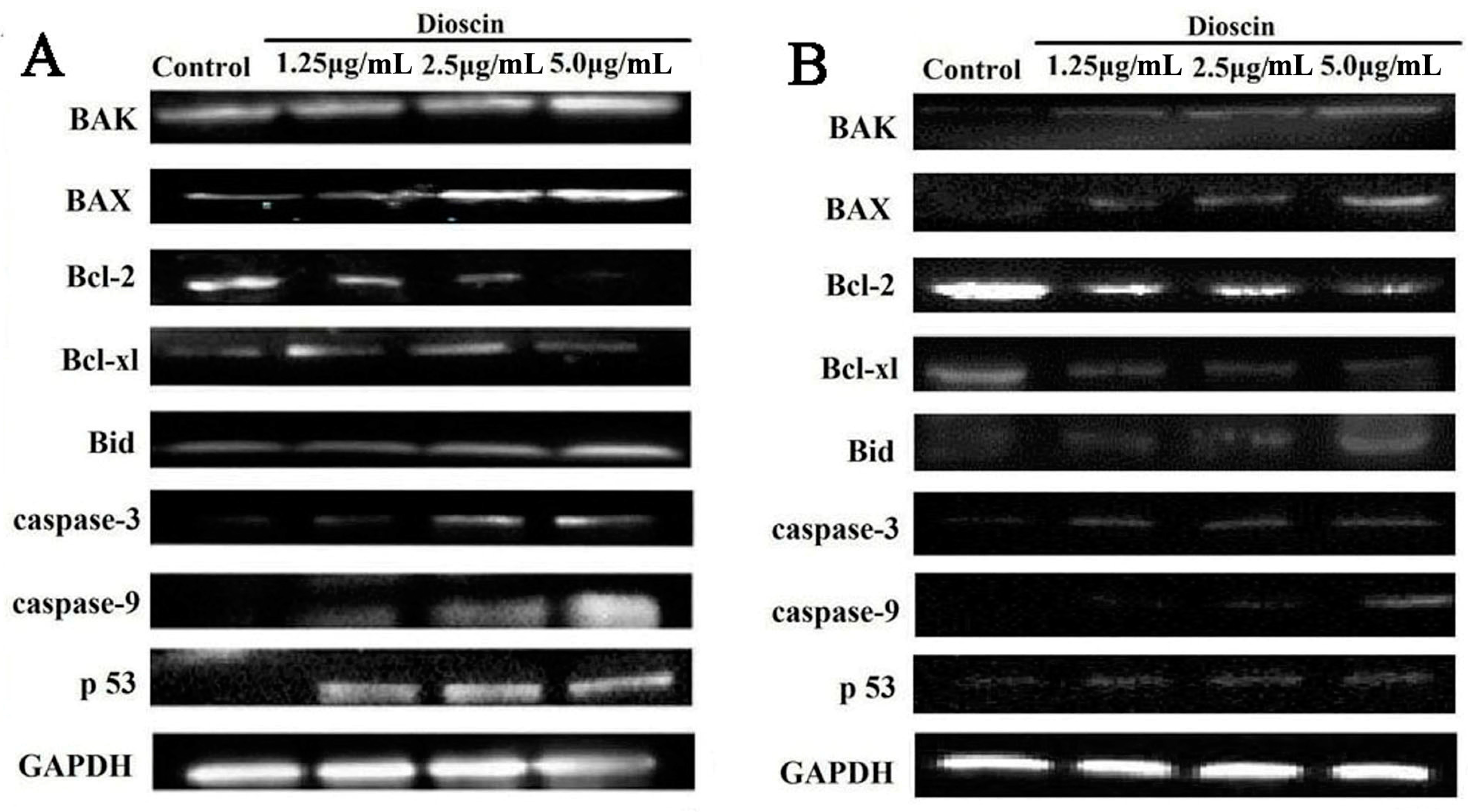 Molecules 21 00730 g009