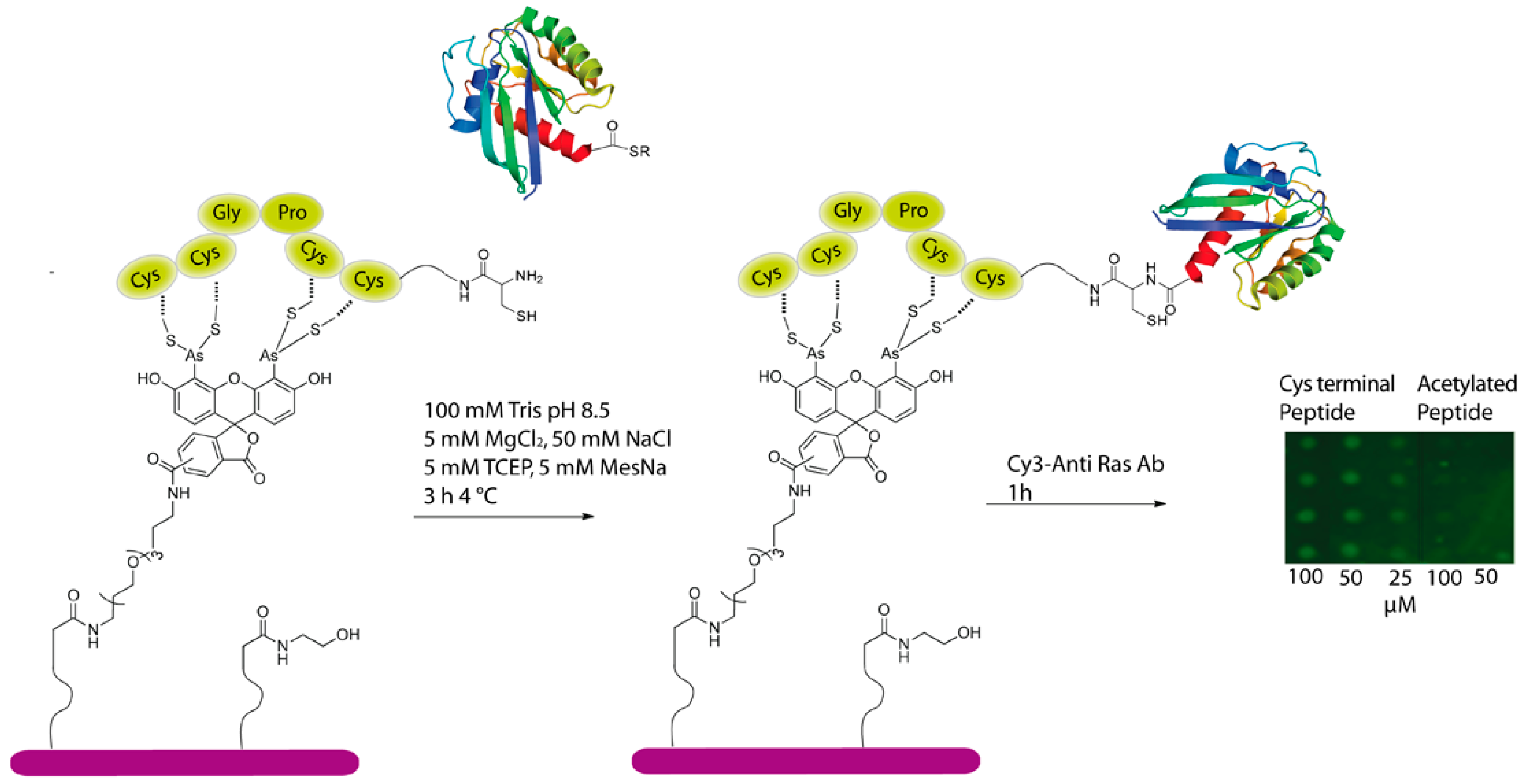 Molecules 21 00750 g004 550