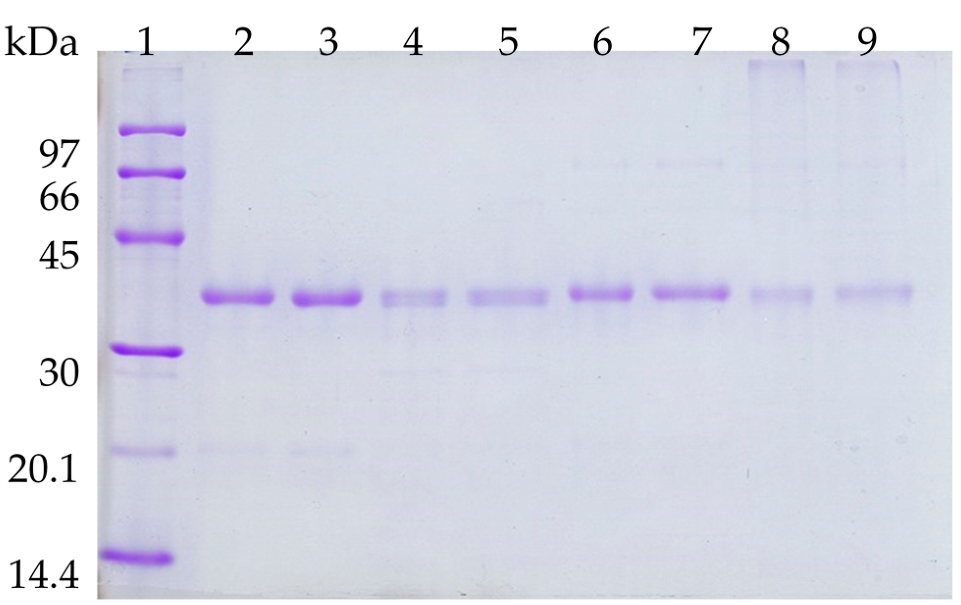 Molecules 21 00751 g005
