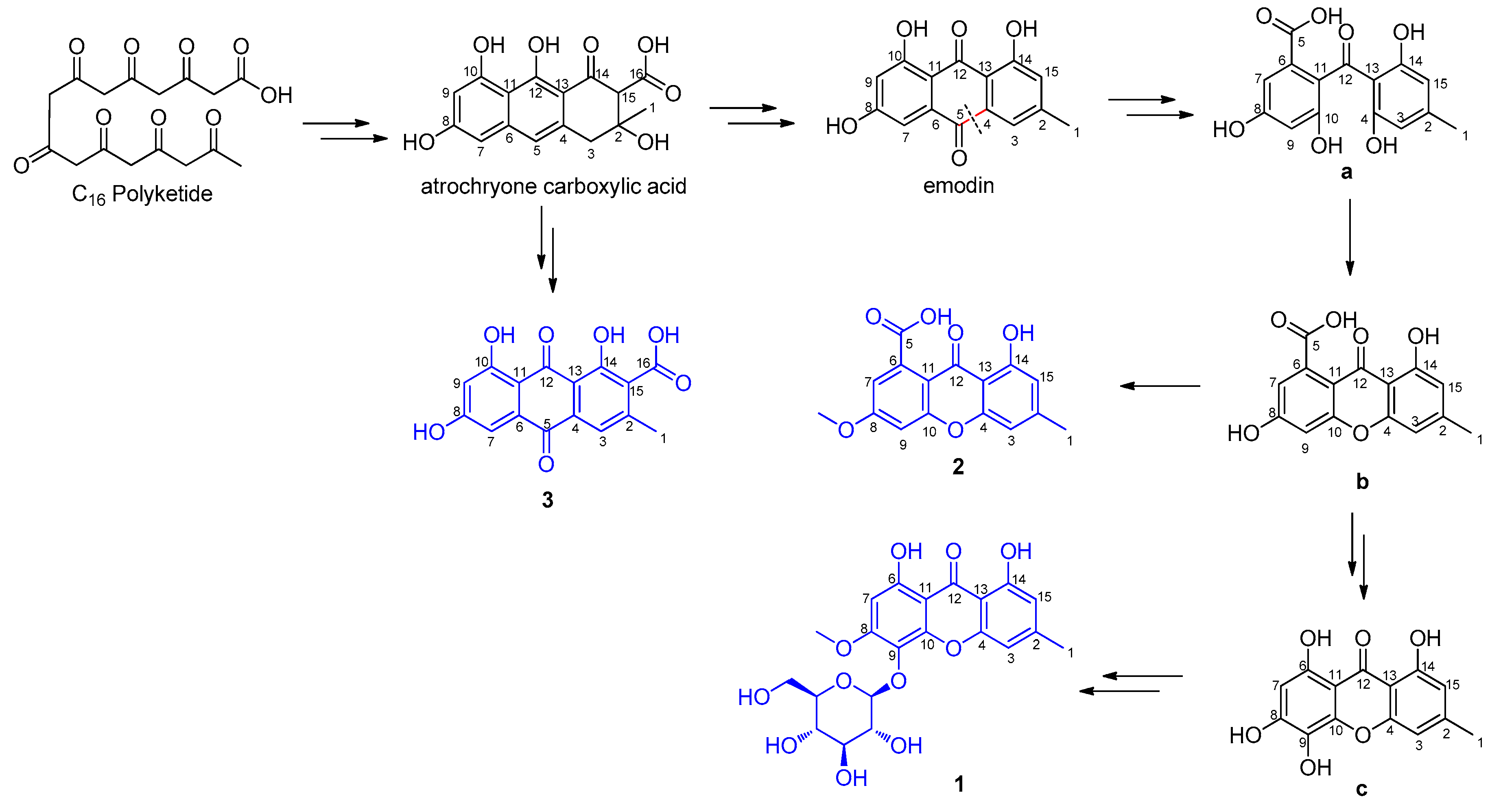 Molecules 21 00764 sch001