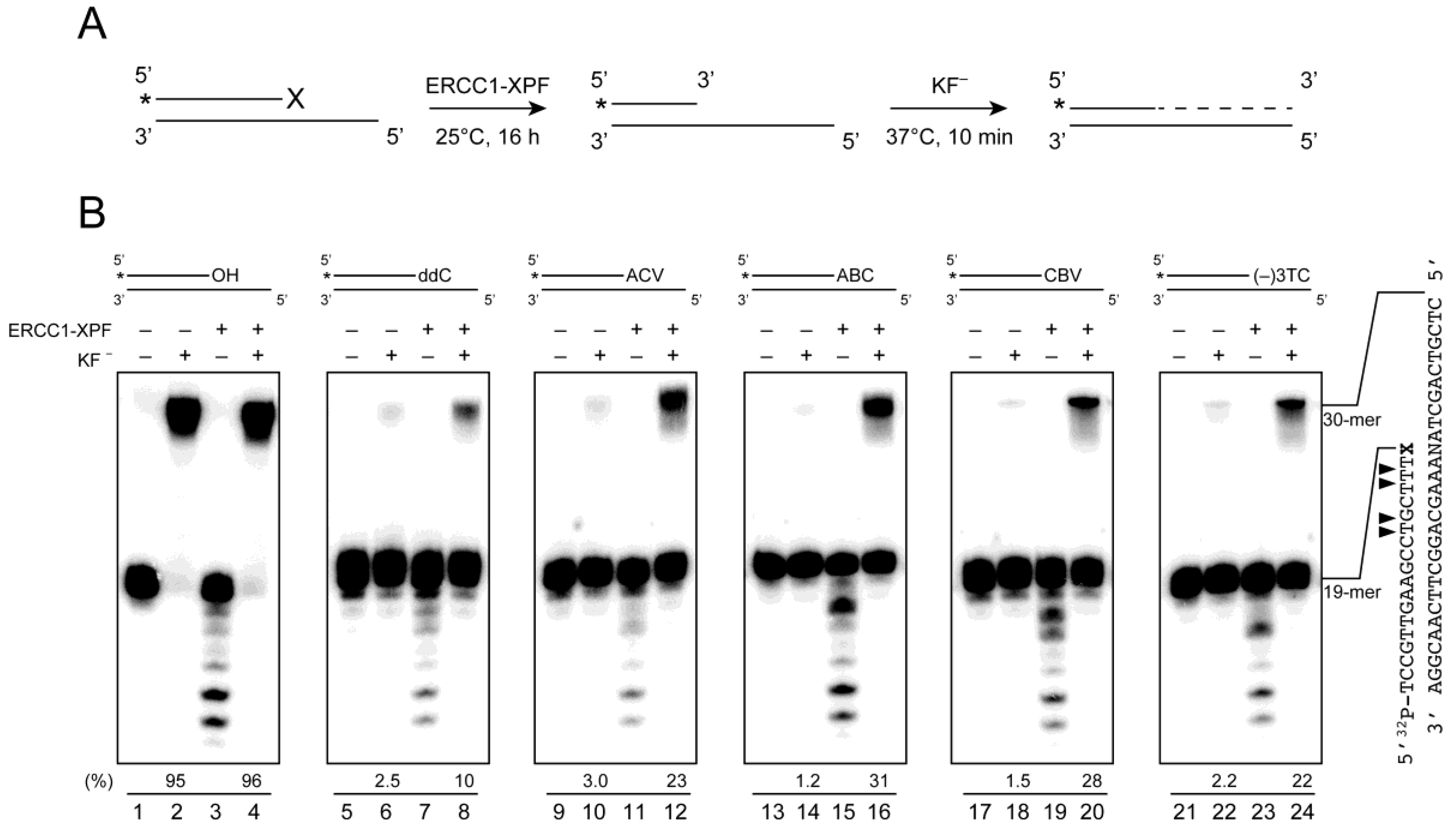 Molecules 21 00766 g005