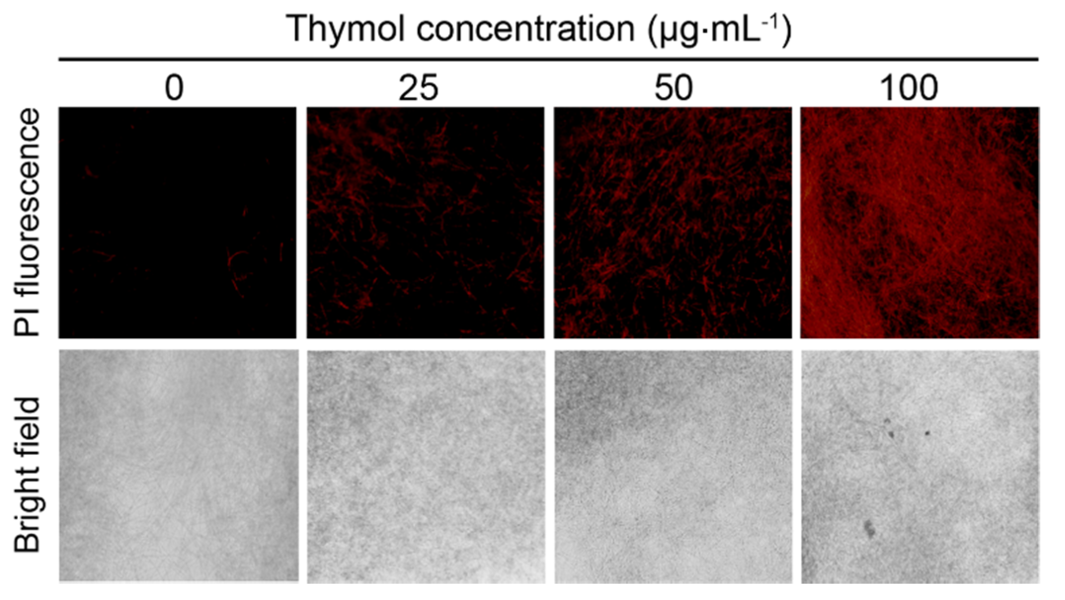 Molecules 21 00770 g005
