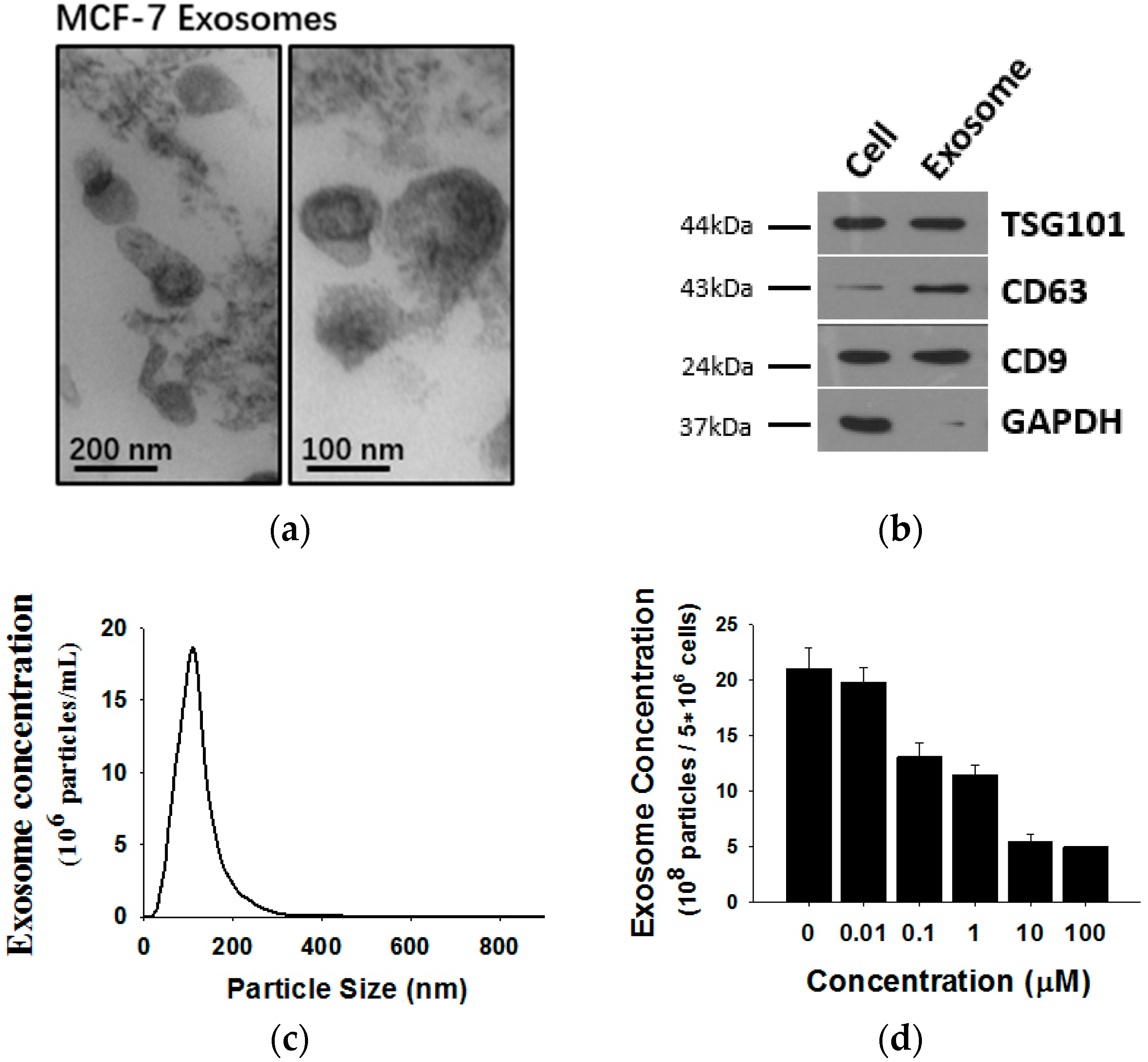 Molecules 21 00777 g002