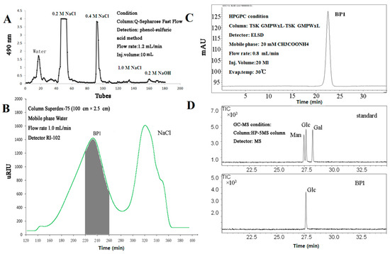 Chemical Structure and Immunomodulating Activities of an