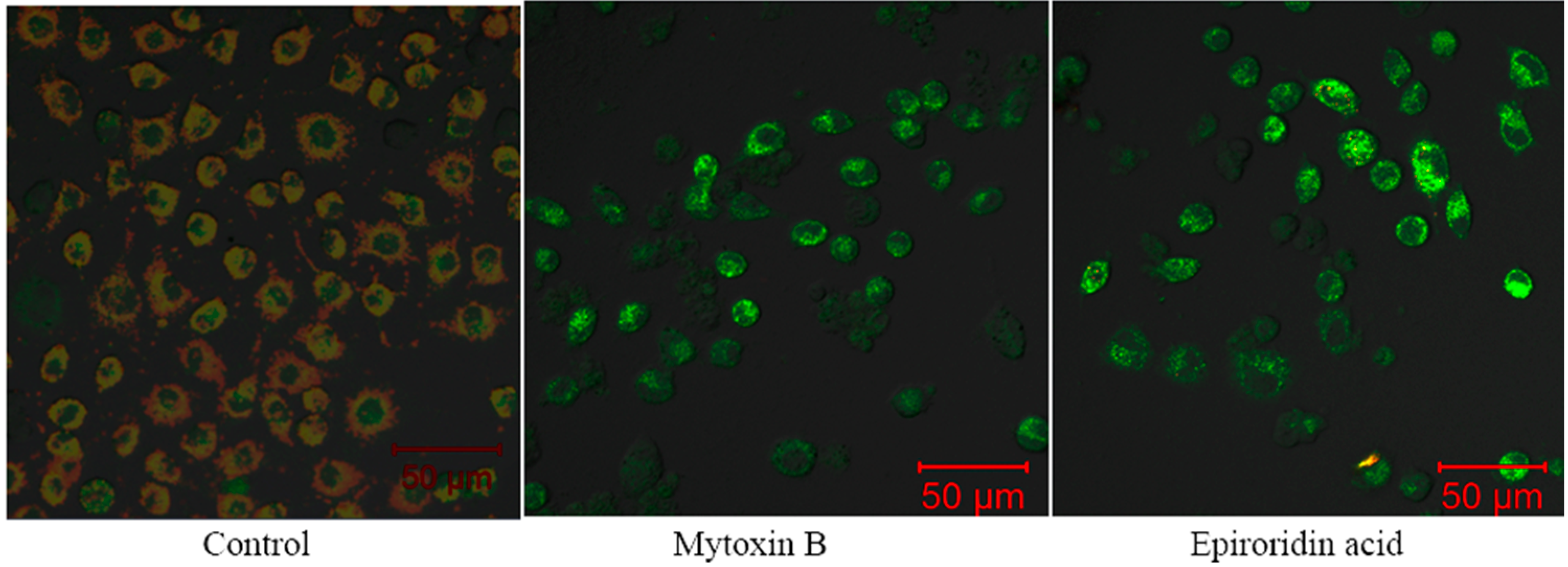 Molecules 21 00781 g007
