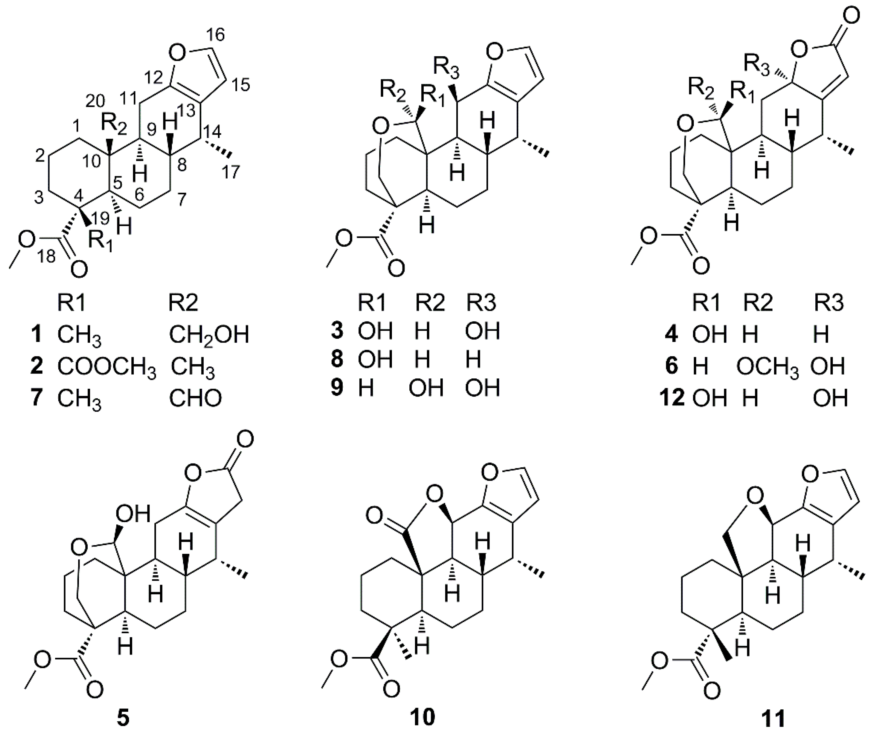 Molecules 21 00791 g001