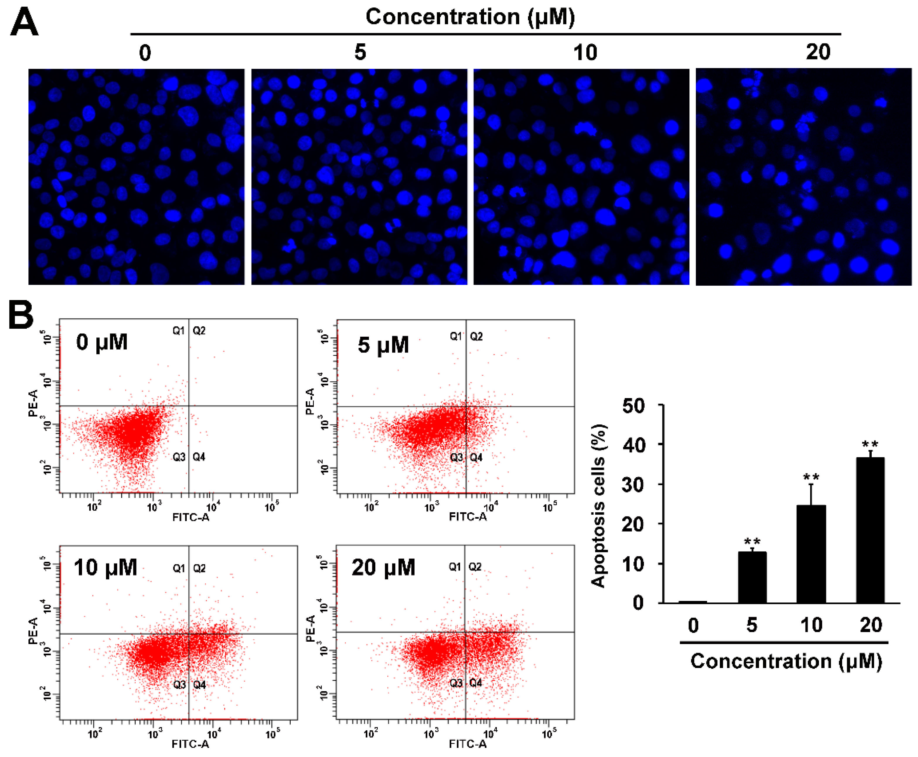 Molecules 21 00791 g005a