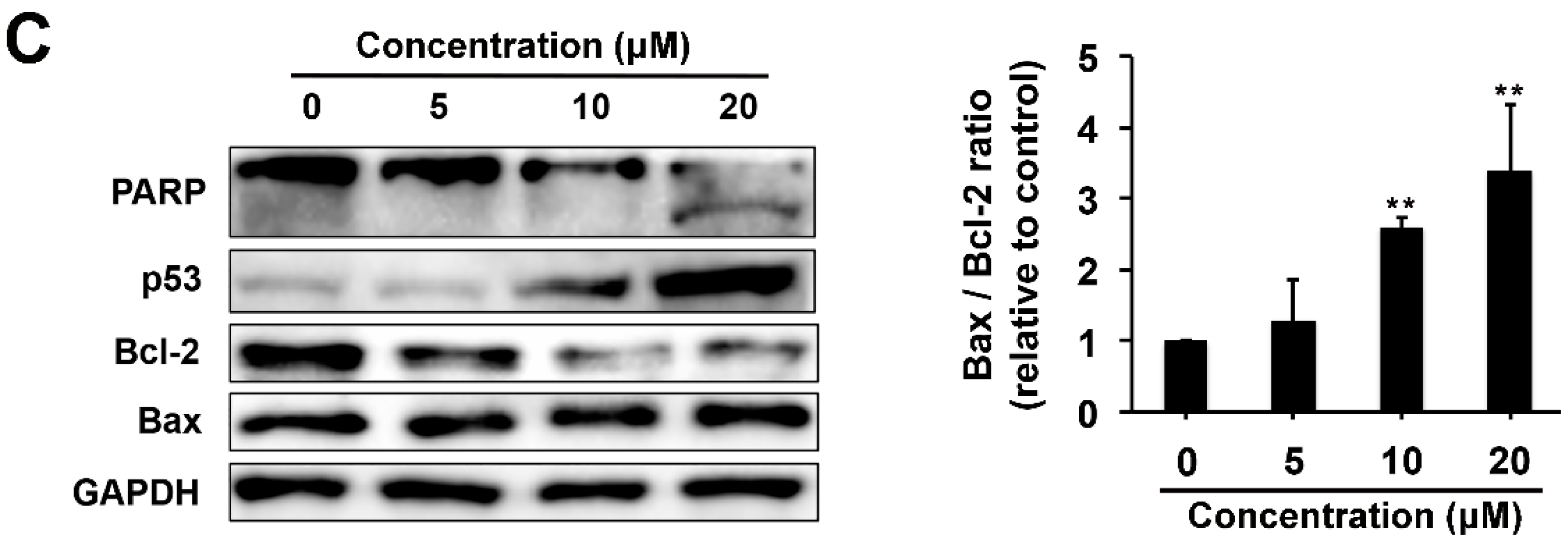 Molecules 21 00791 g005b