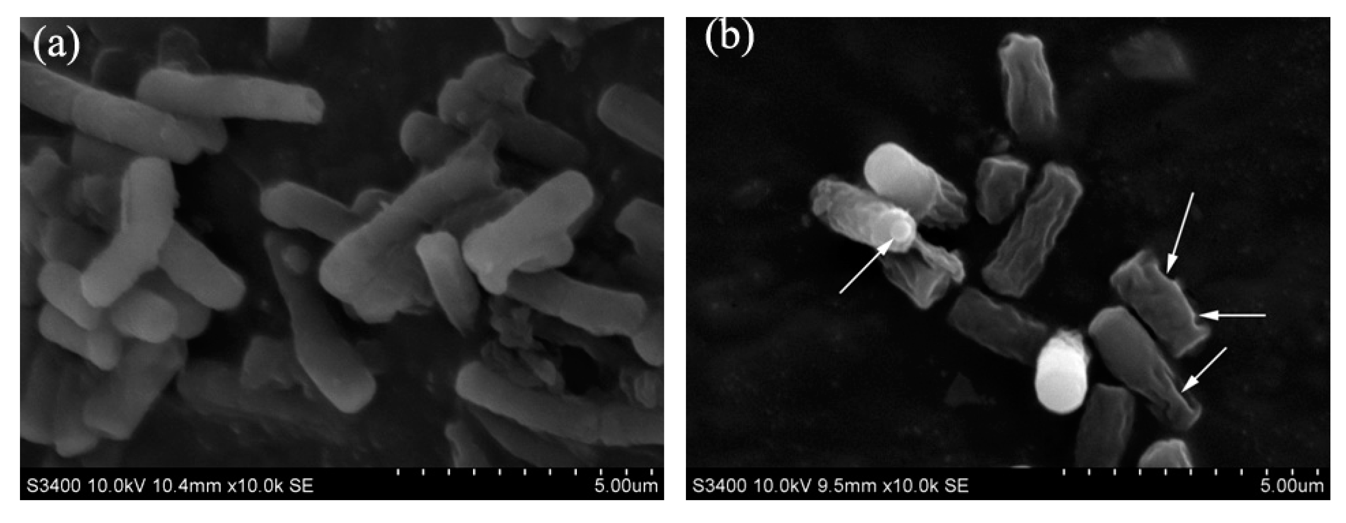 Molecules 21 00795 g004