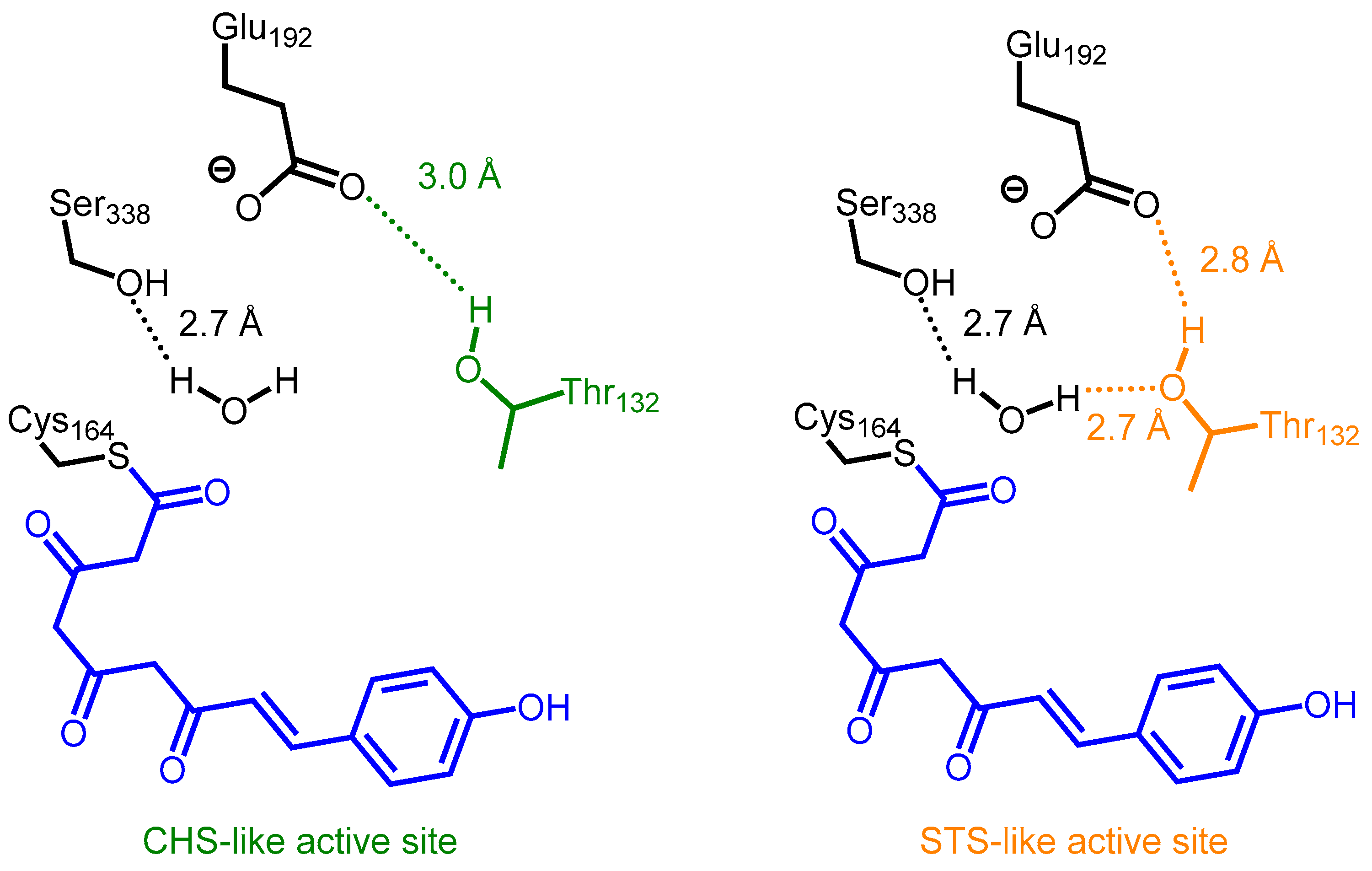 Molecules 21 00806 g003