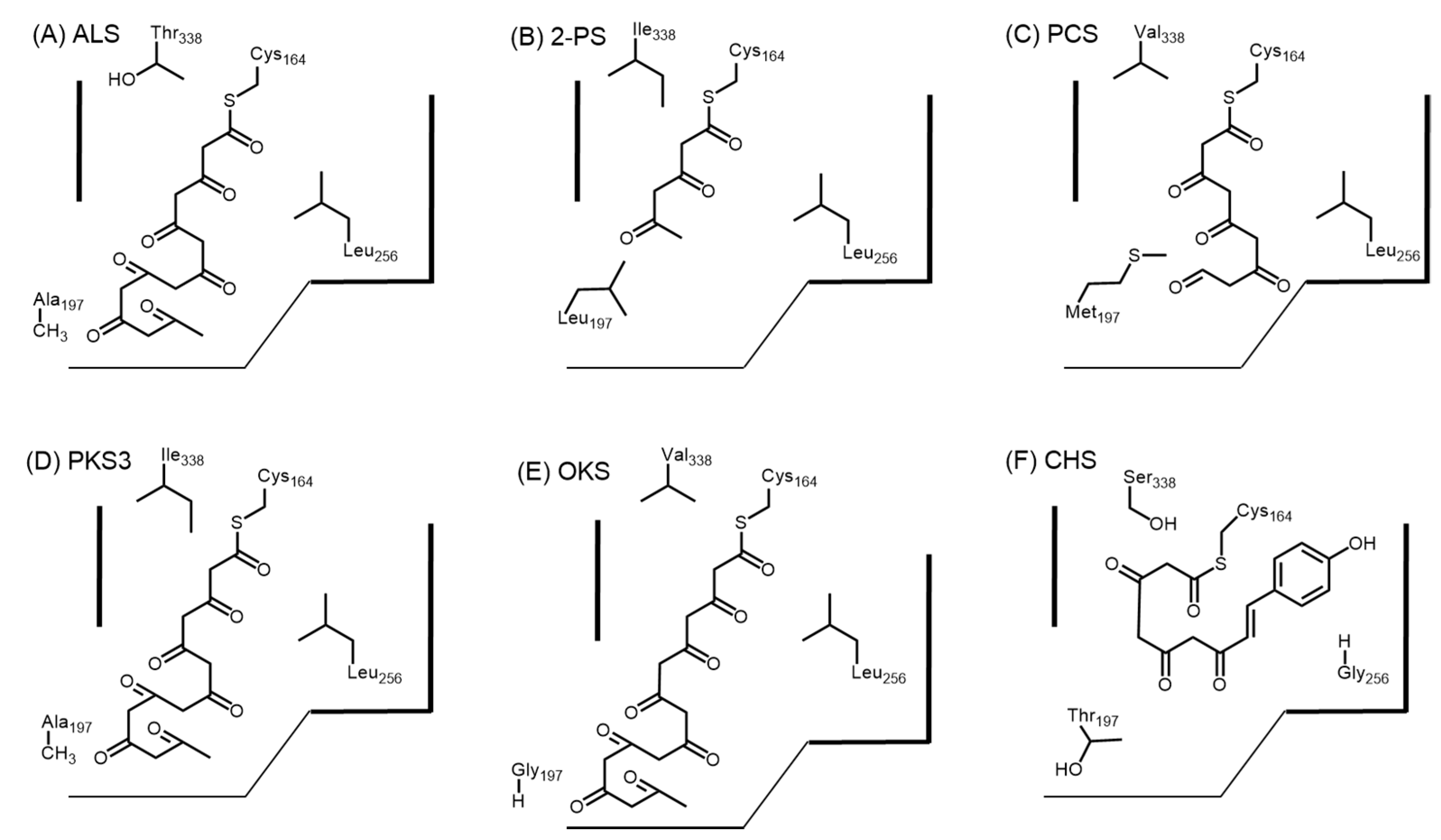 Molecules 21 00806 g005
