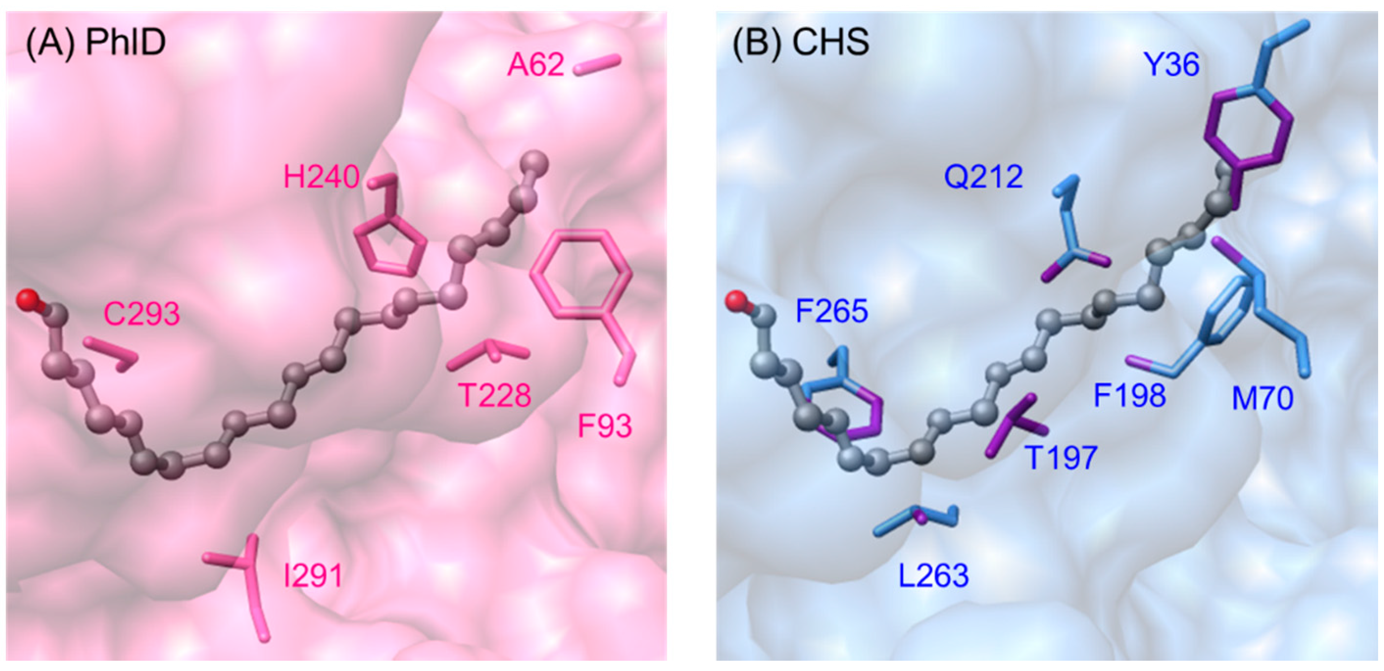 Molecules 21 00806 g010