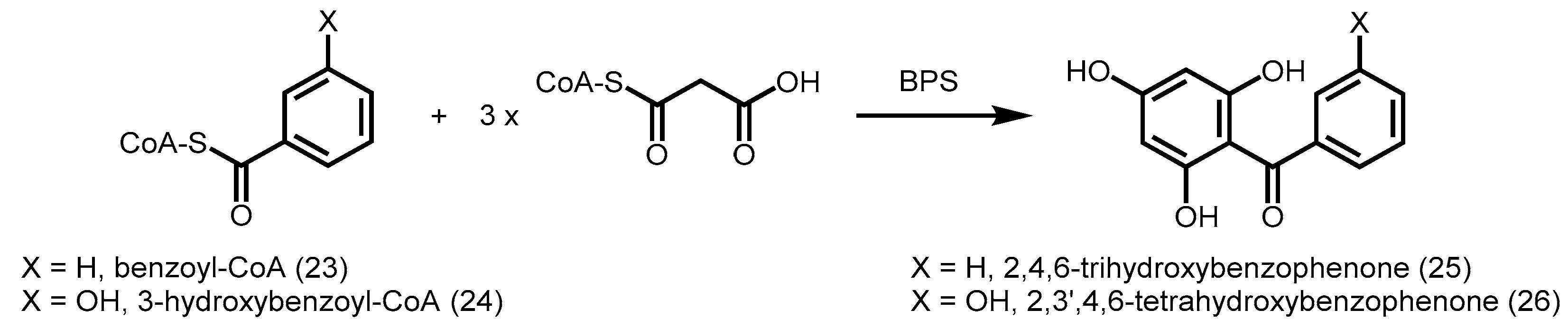 Molecules 21 00806 sch007