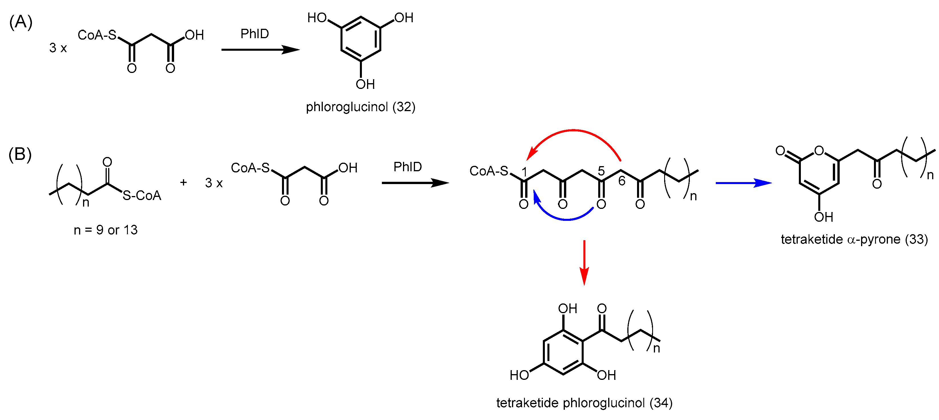 Molecules 21 00806 sch010