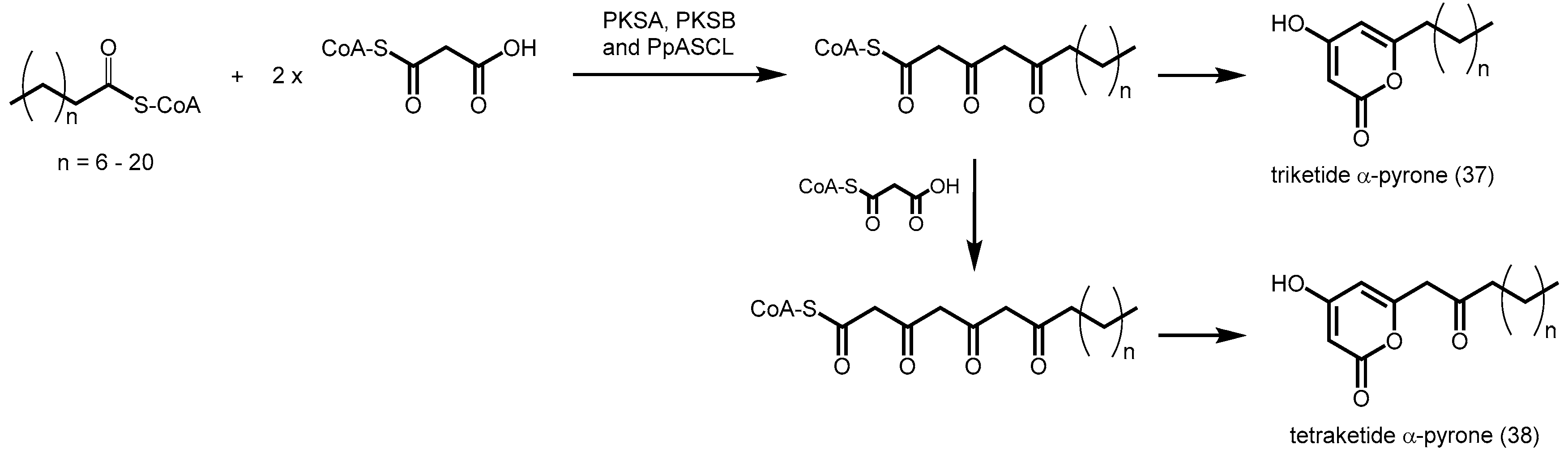 Molecules 21 00806 sch012