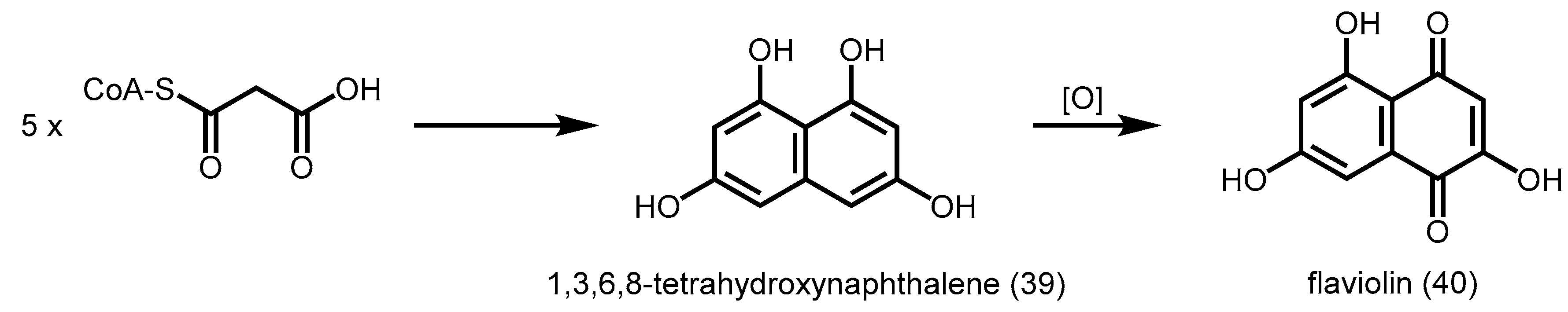 Molecules 21 00806 sch013
