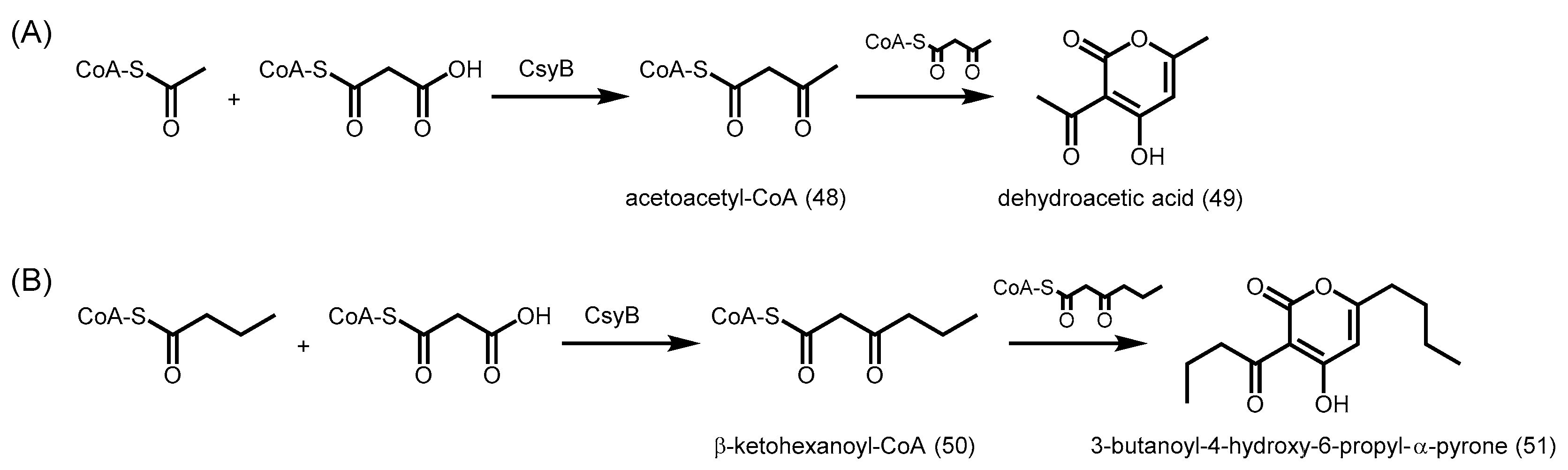 Molecules 21 00806 sch021