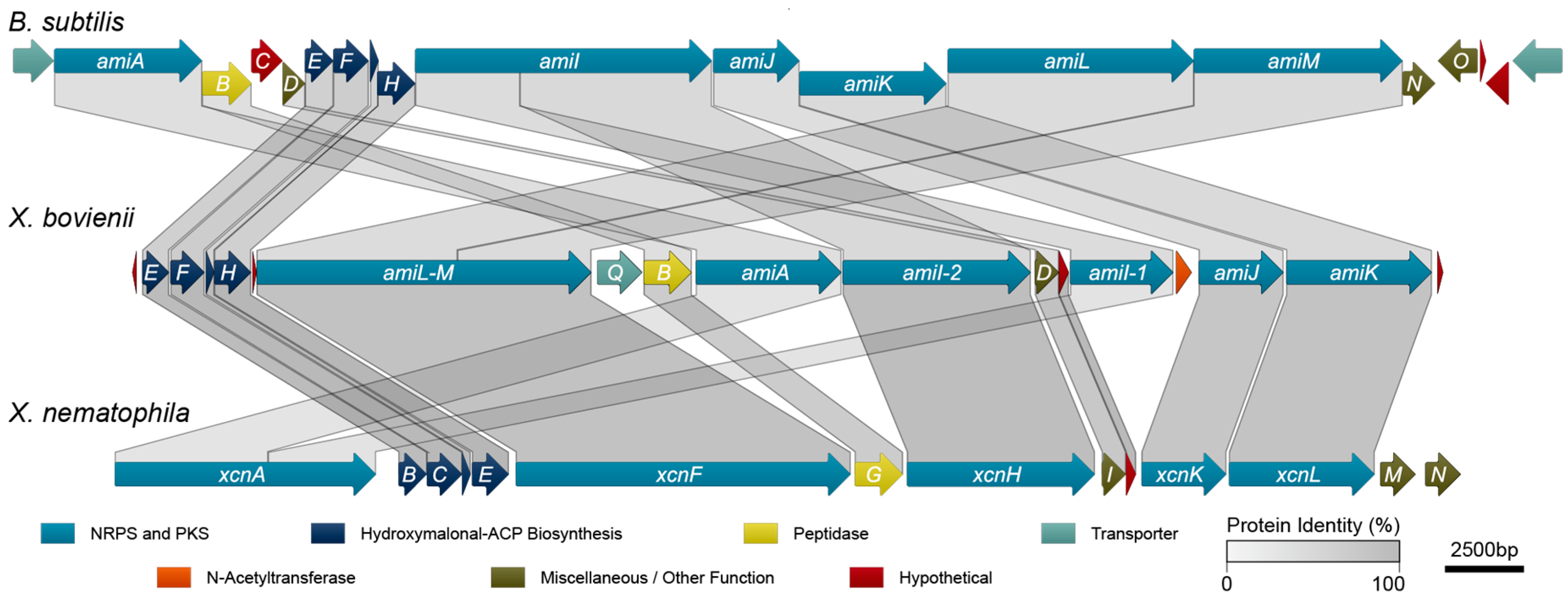 Molecules 21 00824 g003