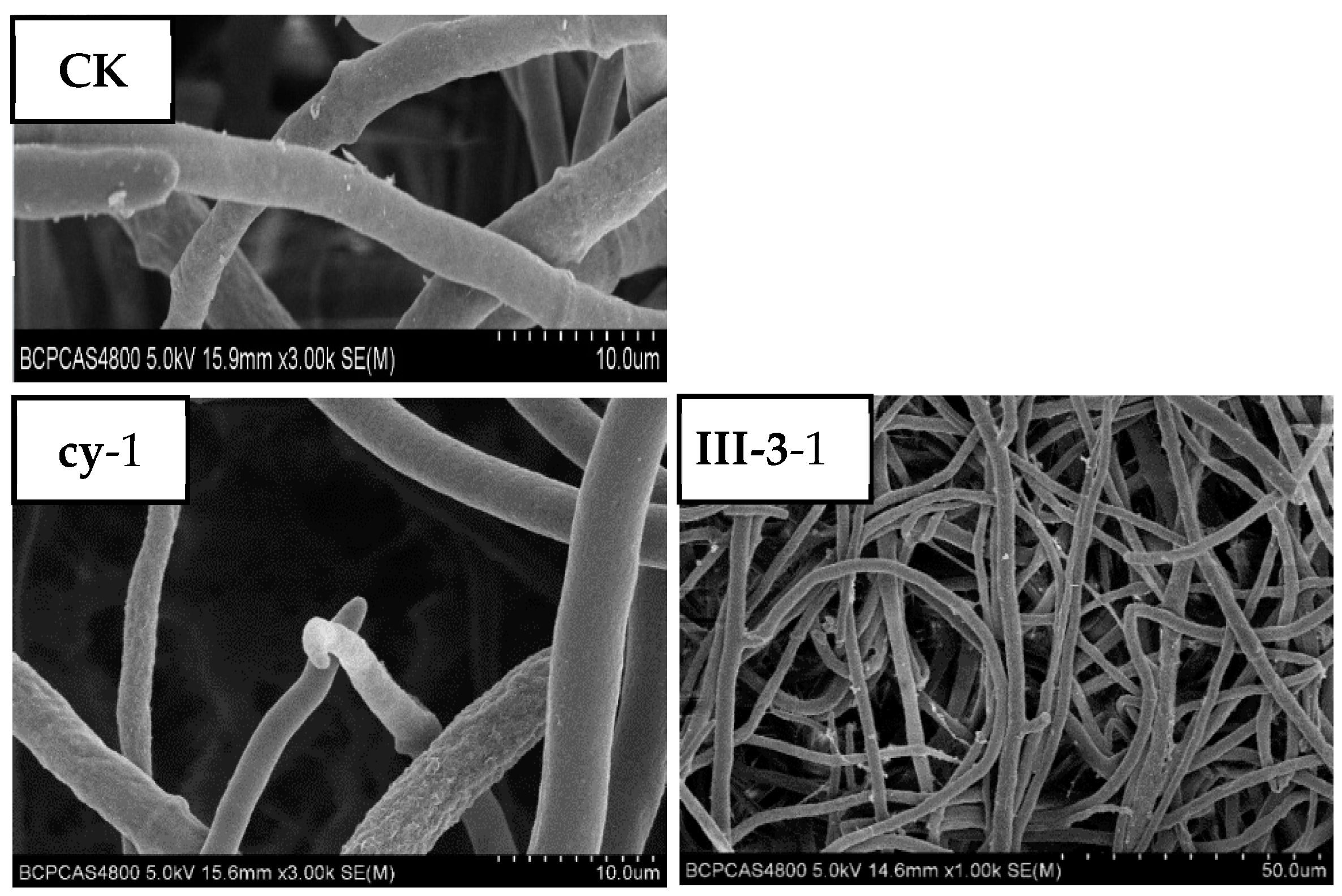 Molecules 21 00828 g008a 550