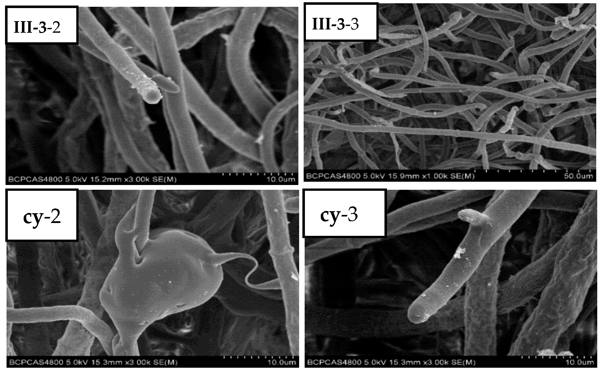 Molecules 21 00828 g008b 550
