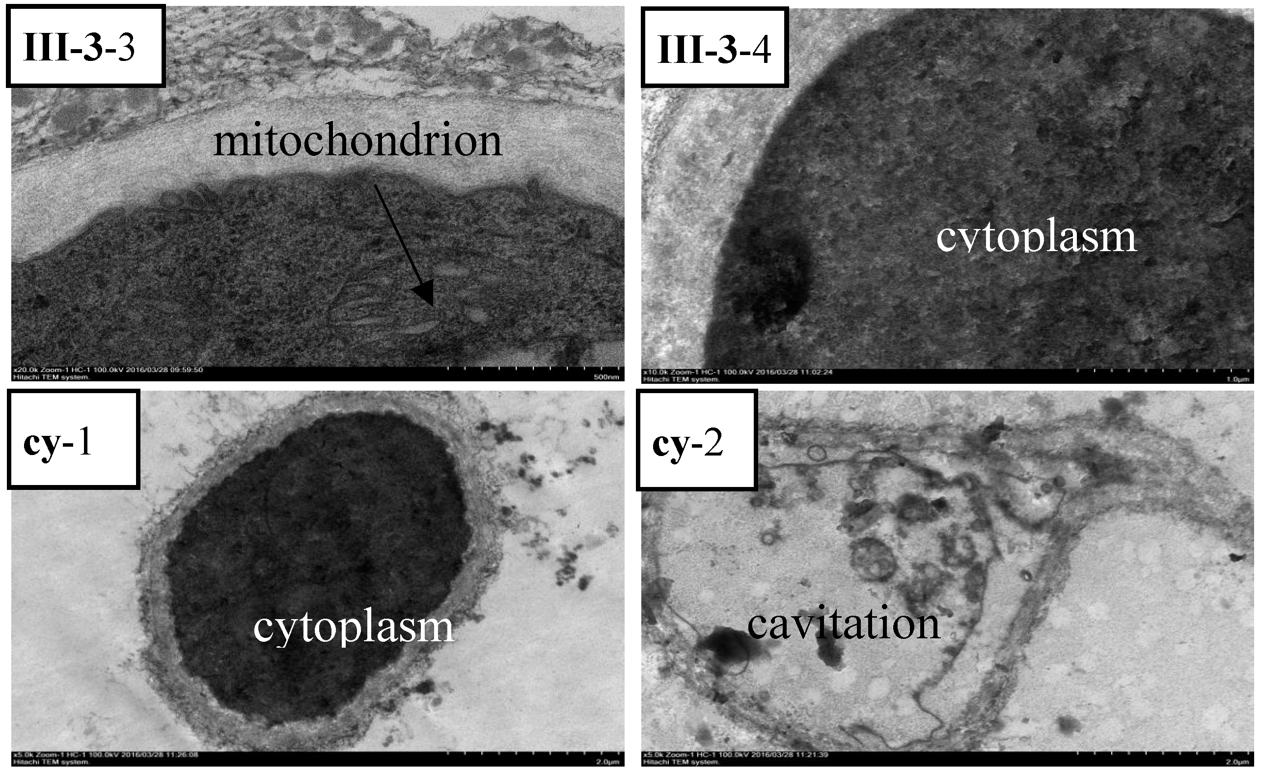 Molecules 21 00828 g009b 550