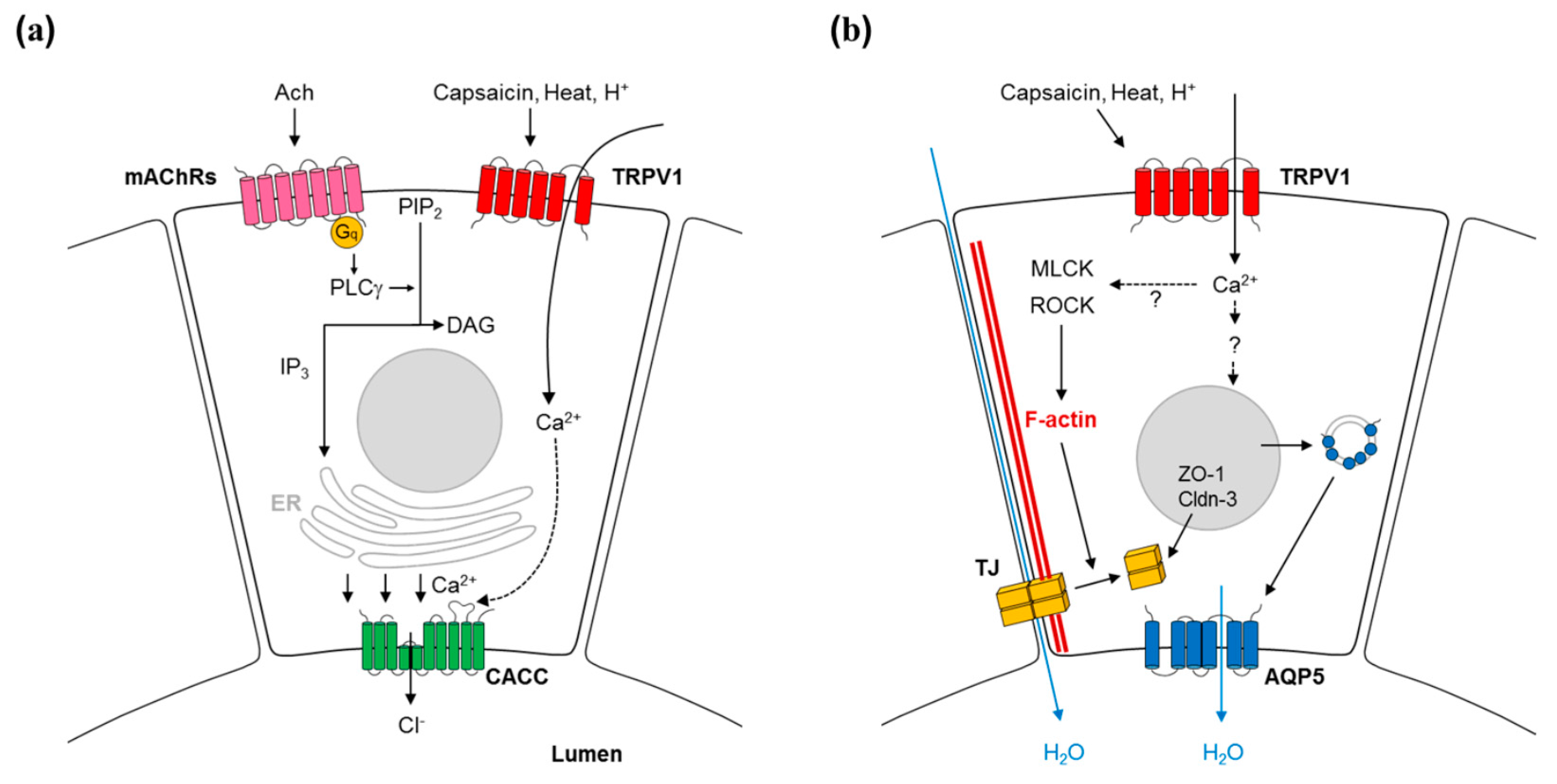 Molecules 21 00835 g001 550