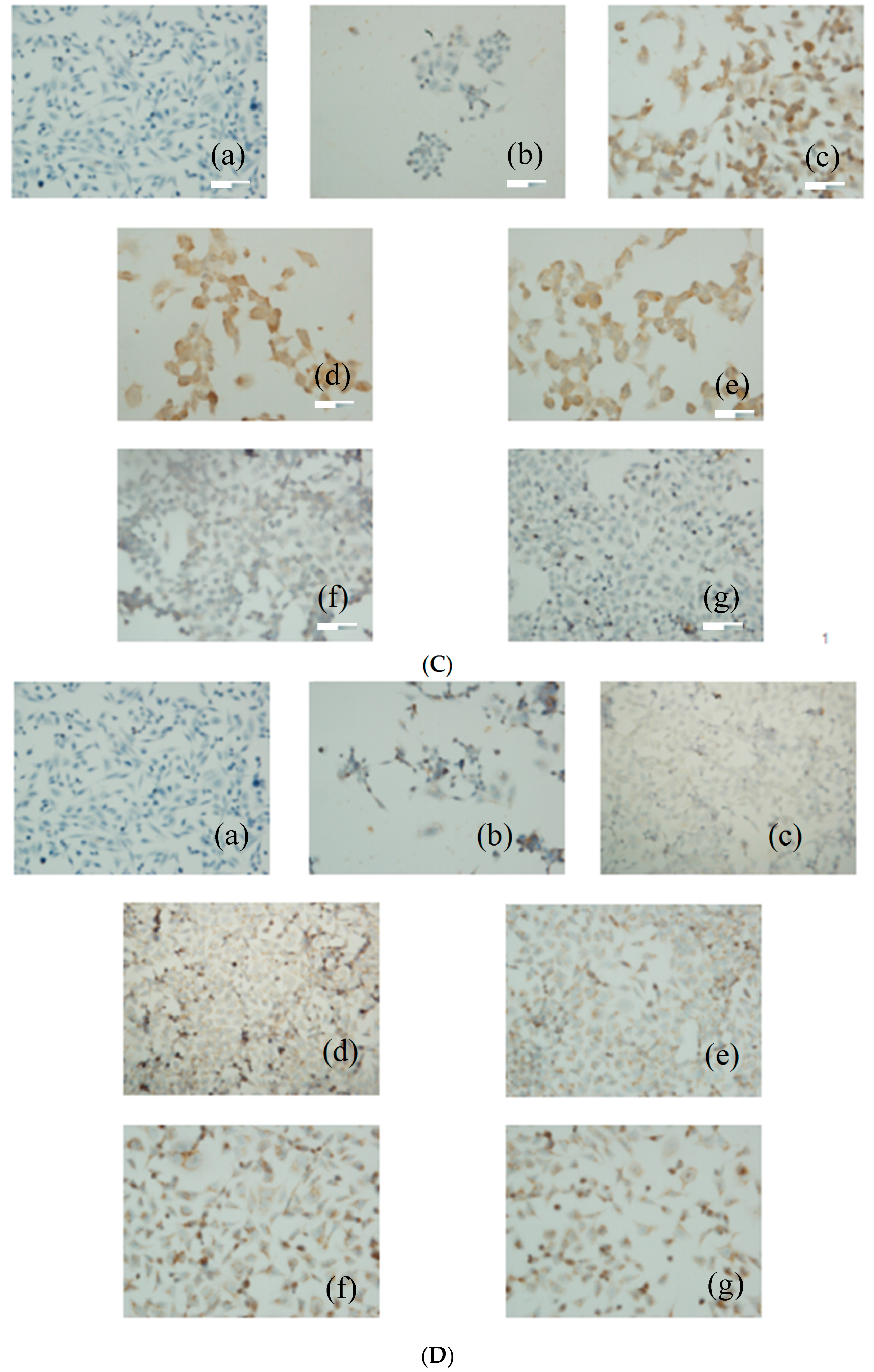 Molecules 21 00852 g006b 550